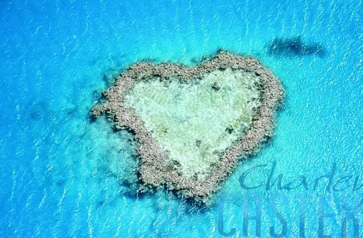 img_heart_reef copy.jpg
