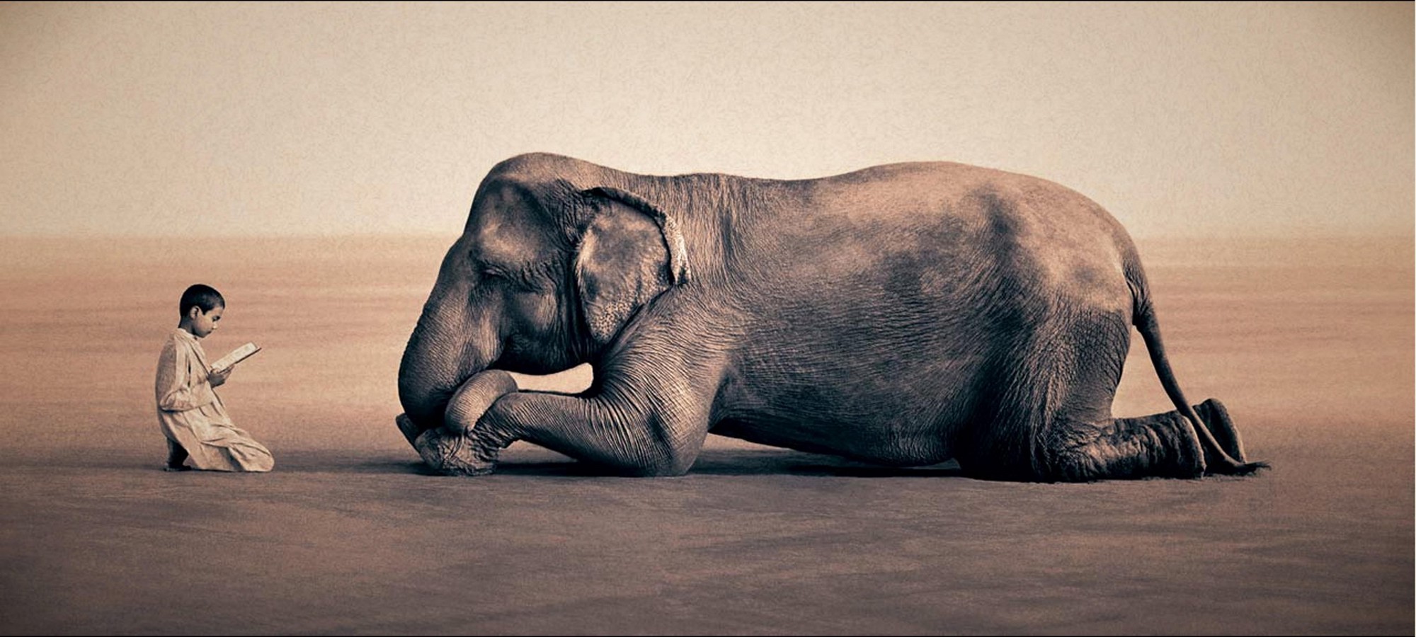 “ When the Student is ready the teacher appears. When the student is truly ready the teacher disappears. ” Lao Tzu~