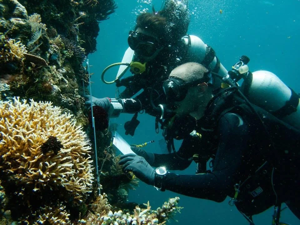 Coral Eye_Marine Outpost_Reef Monitoring.jpeg