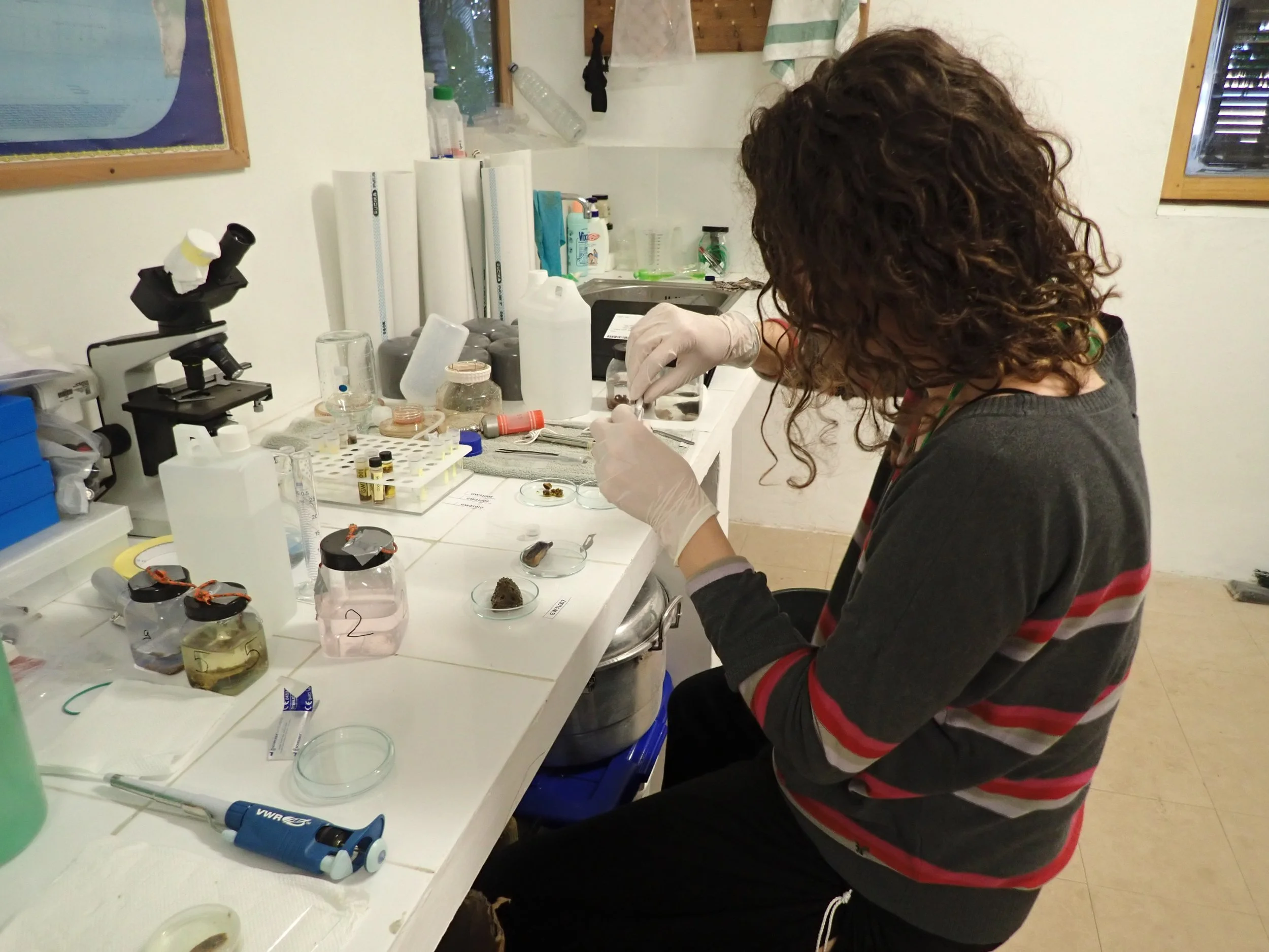 Tiny Plastics, Big Questions&nbsp;