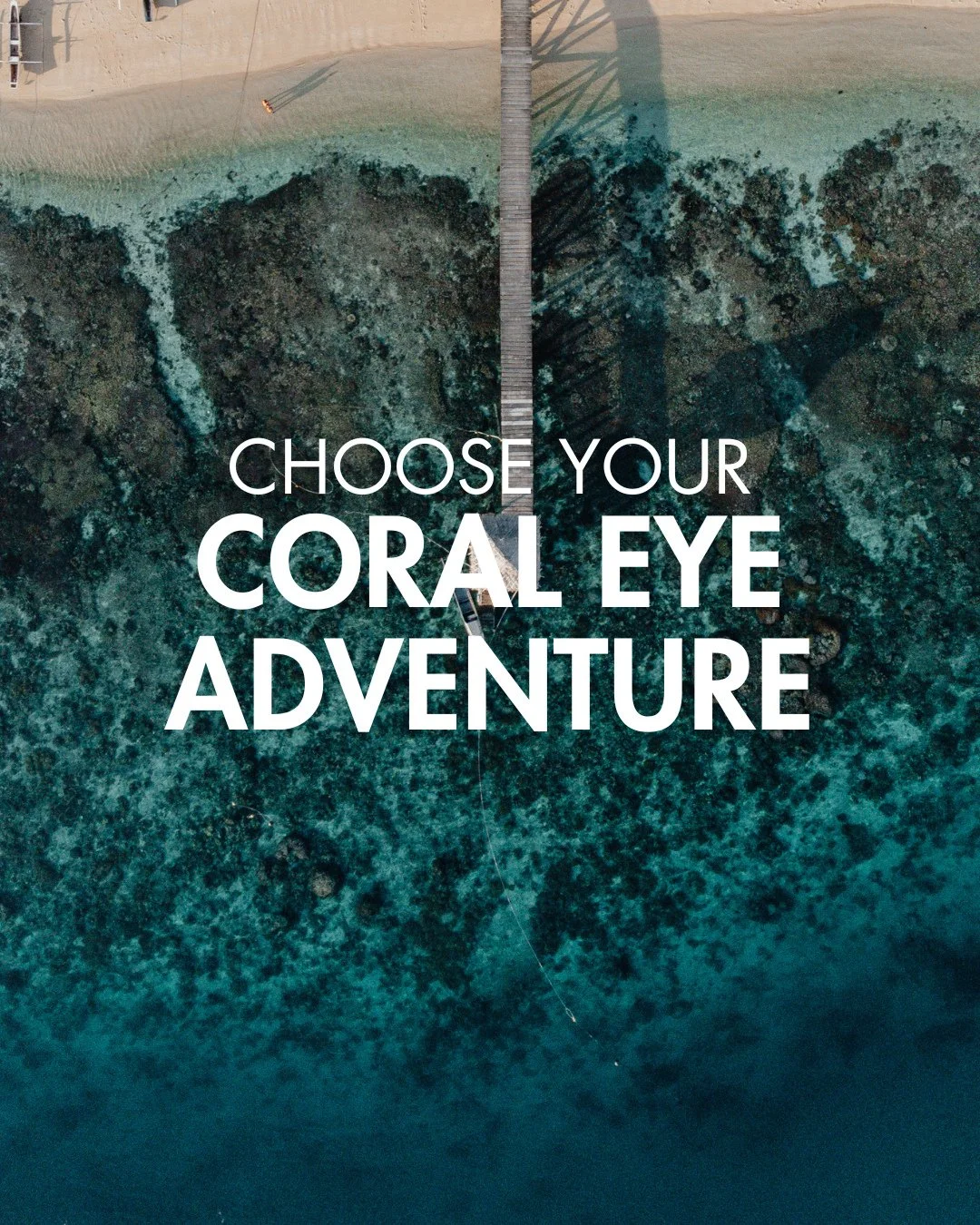Adventure comes in many forms at Coral Eye....The question is, which one will you choose?🏝️⁠
⁠
#Coraleye #northsulawesi #bangkaisland #dive #scuba #islandlife #adventure #travel #divetravel #paradise