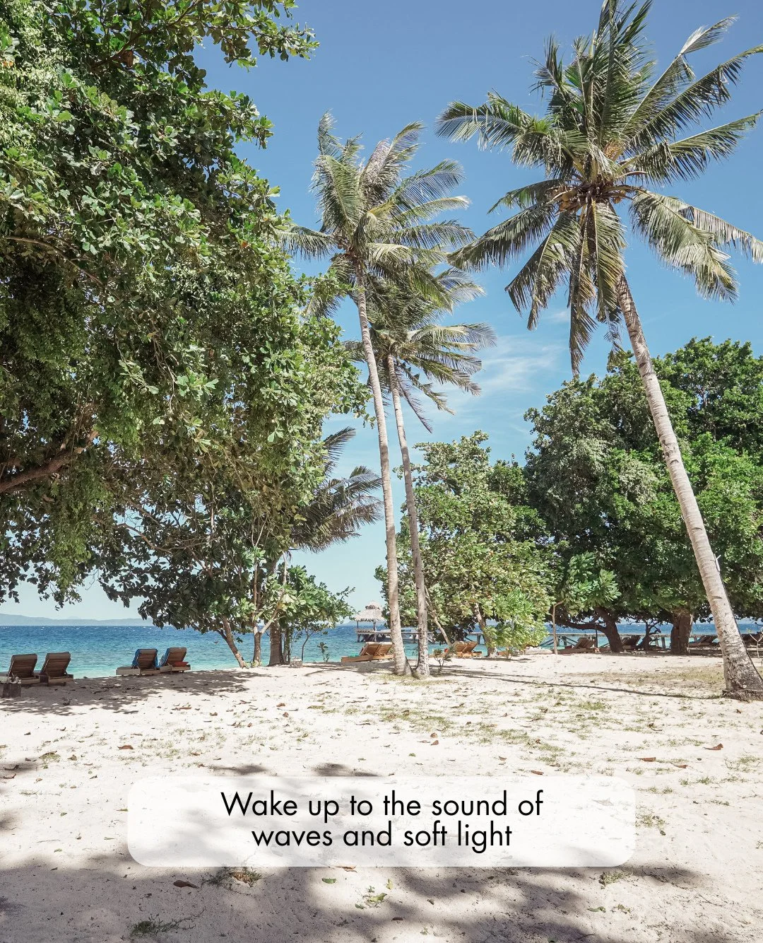 The perfect Coral Eye day checklist ✅️ ⁠
⁠
#Coraleye #northsulawesi #bangkaisland #dive #scuba #islandlife #adventure #travel #divetravel #paradise