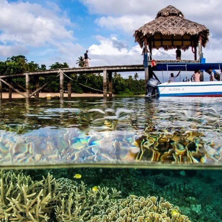 Grateful for @scubaverse_media and @saeedrashid01 for featuring Coral Eye! From colorful reefs to mangrove dives, it&rsquo;s a true paradise on Bangka Island 🌴⁠
⁠
Head to the link in bio and check the full article!⁠
⁠
#Coraleye #northsulawesi #bangk