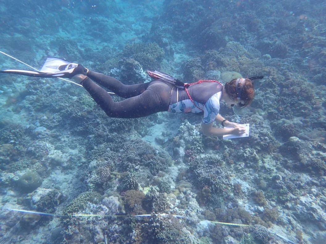 Coral Eye_Marine Outpost_reef transect.JPG