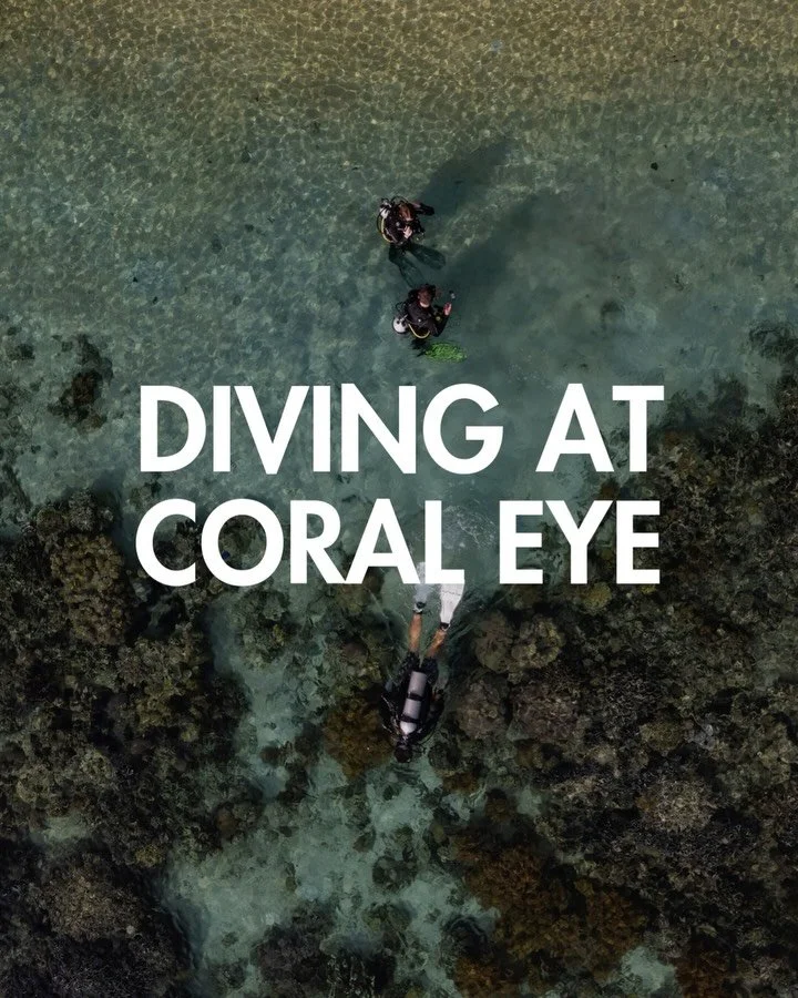 From the dive center to the deep blue...wonder awaits at every fin kick 🤿⁠
⁠
#Coraleye #northsulawesi #bangkaisland #dive #scuba