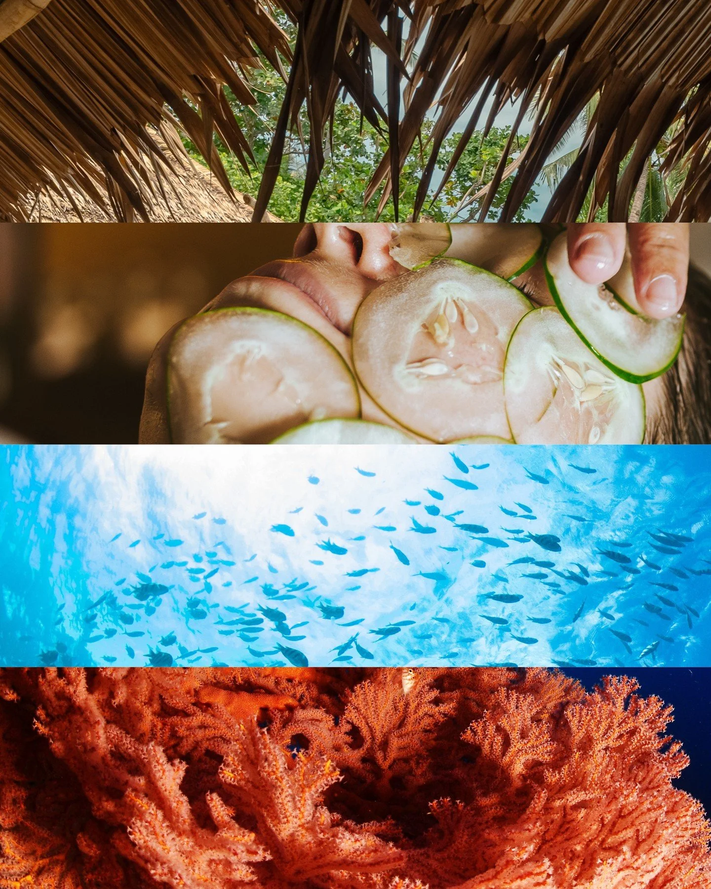 From reef to resort, the details are everywhere. 🌊✨⁠
⁠
#BoutiqueResort #NorthSulawesi #BangkaIsland #CoralTriangle #NaturalDesign #OceanArt