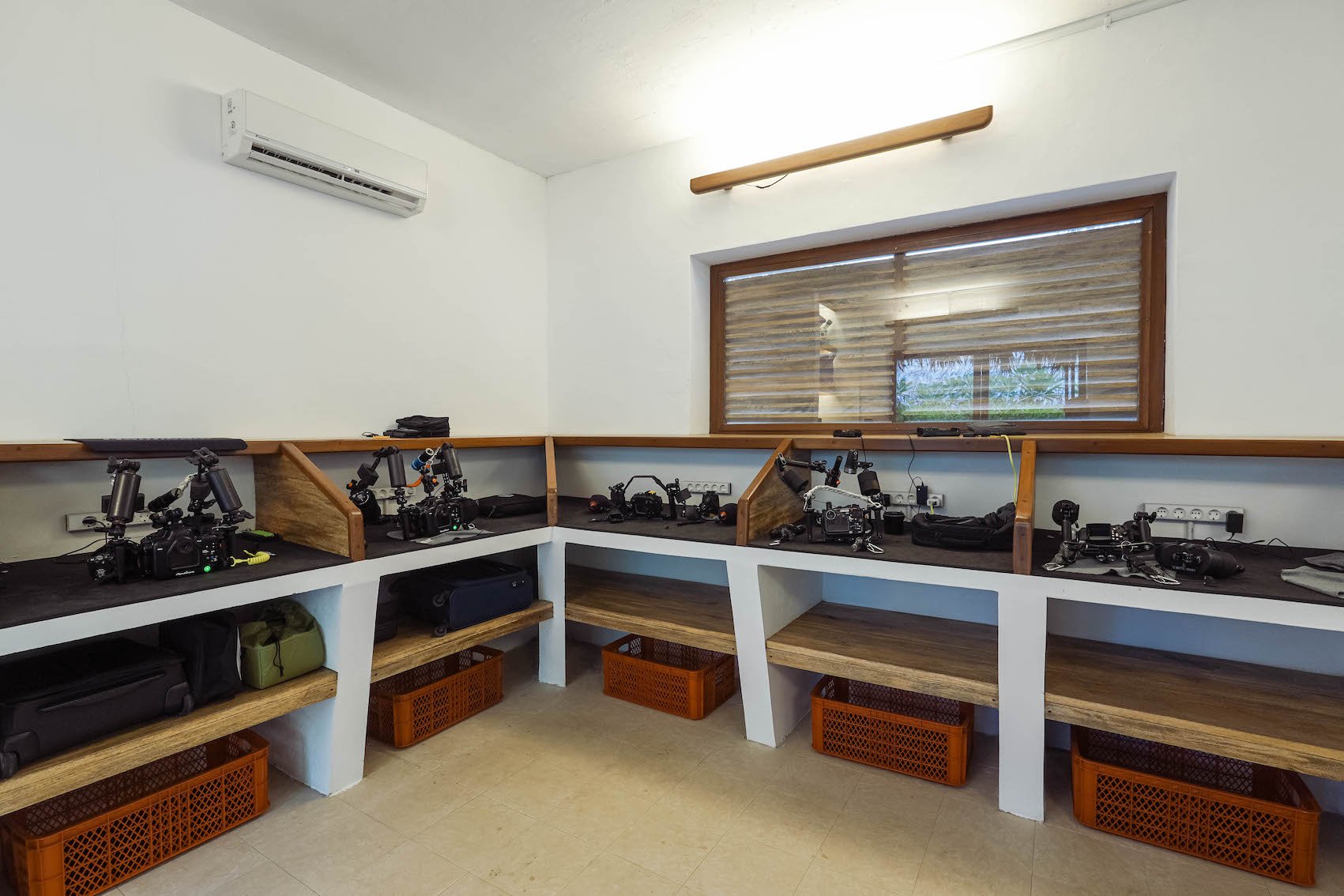 Camera Room Coral Eye