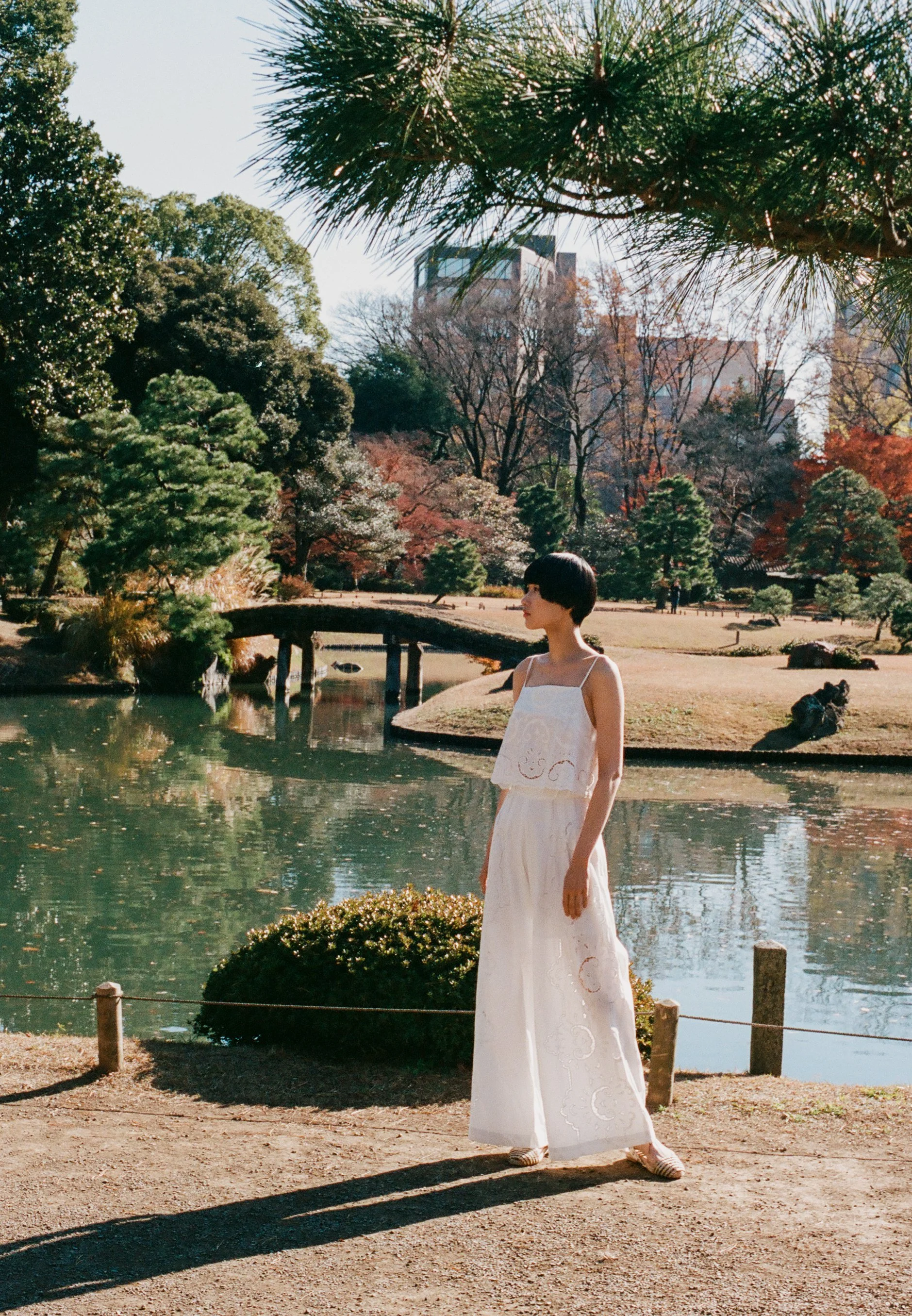 asako 3.jpg