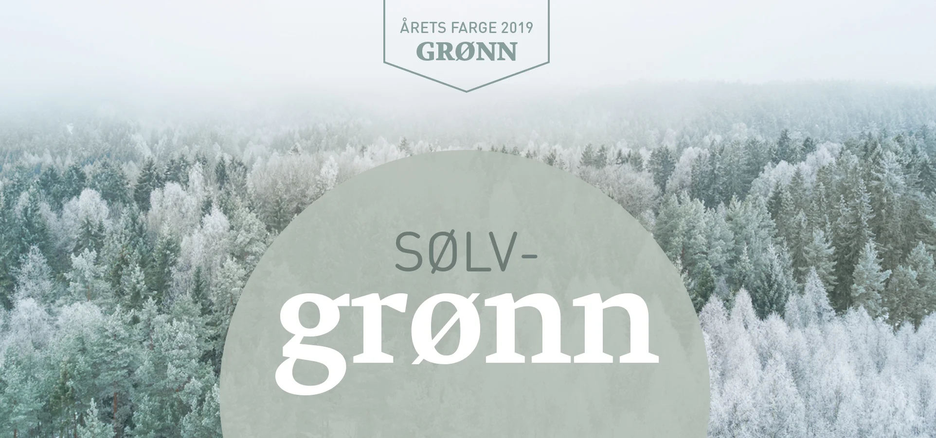 Årets%20farge%20webmoduler%20962x451%20sølv.jpg