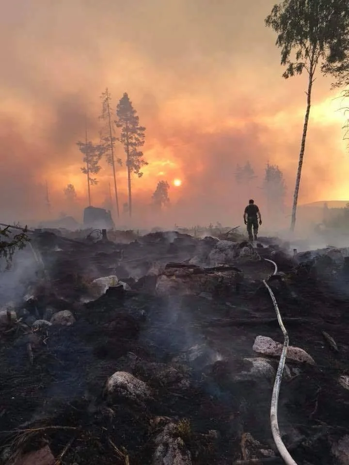 Foto: Arméns Jägarbataljon