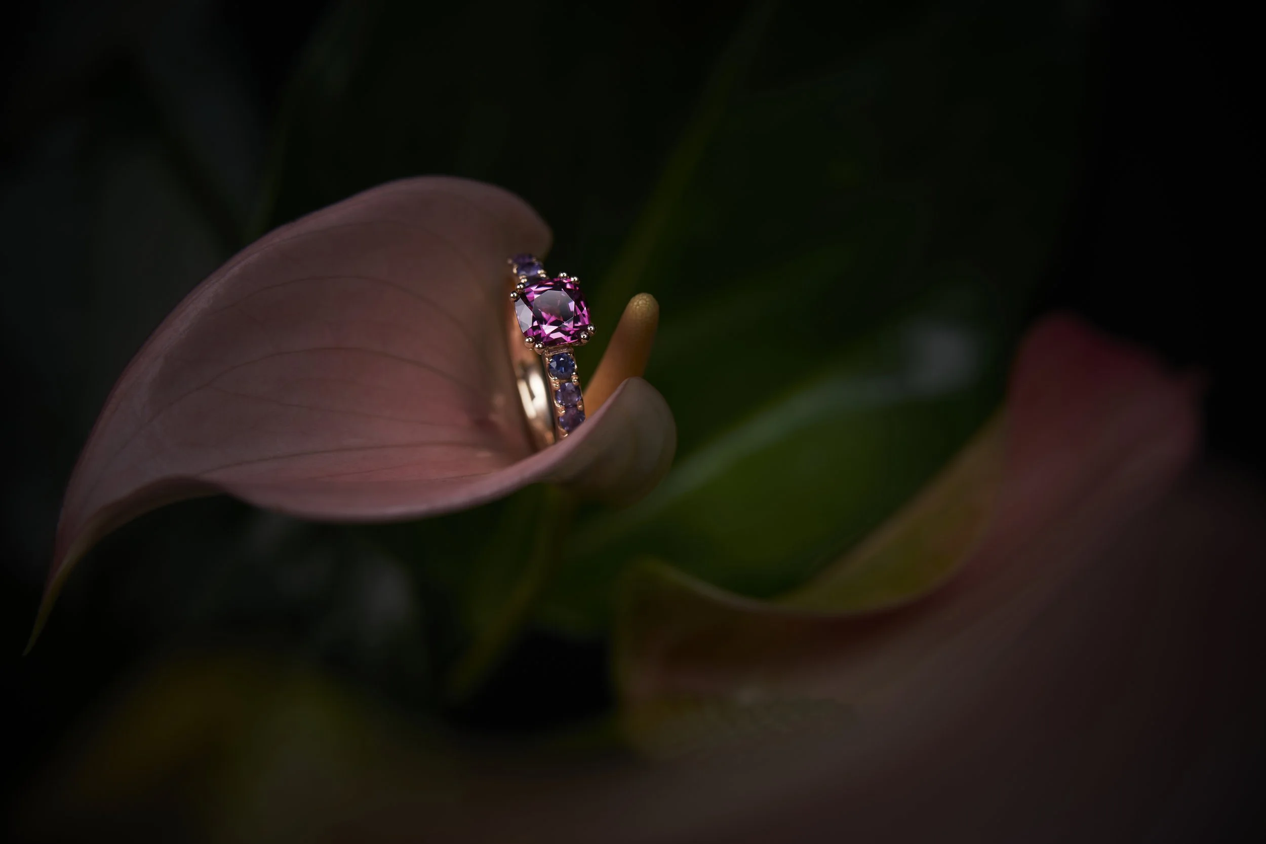 Ring_6_MR.jpg