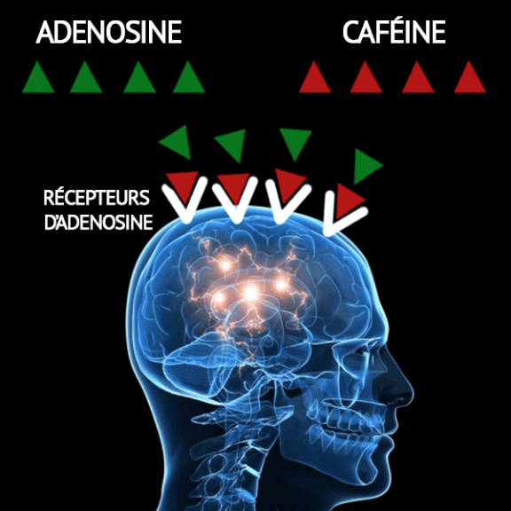 Image: GabrielRenaud.com
