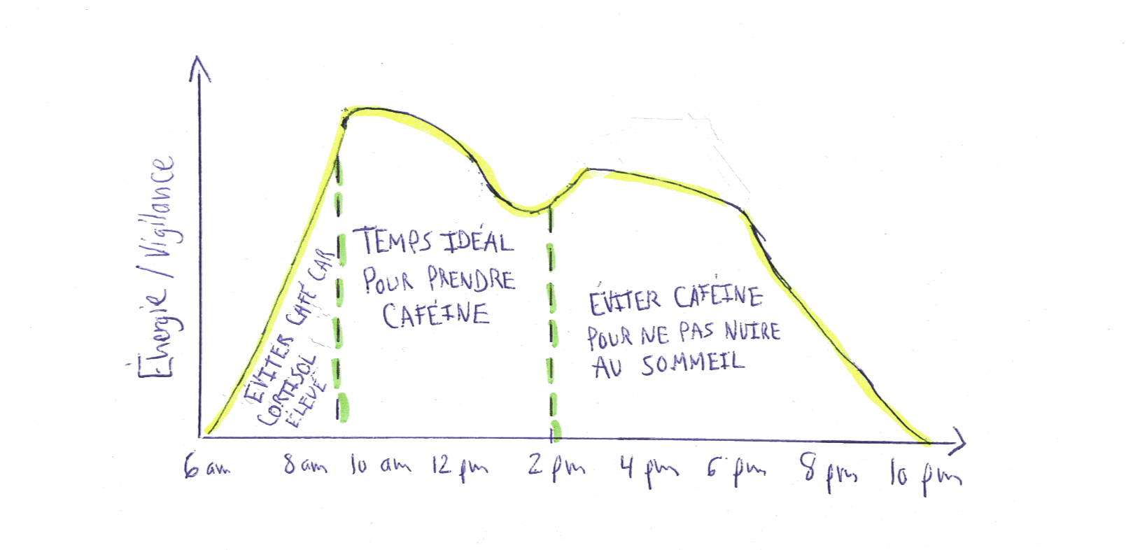 quand boire son cafe.png
