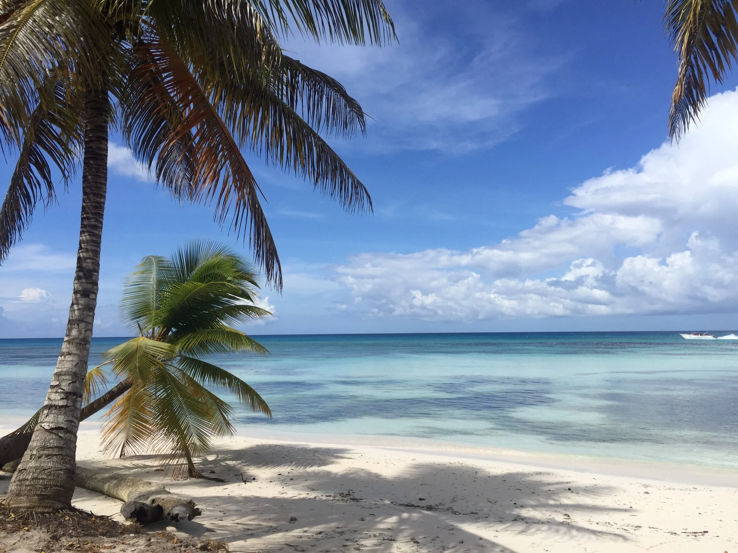 Île Saona, République Dominicaine, 2016