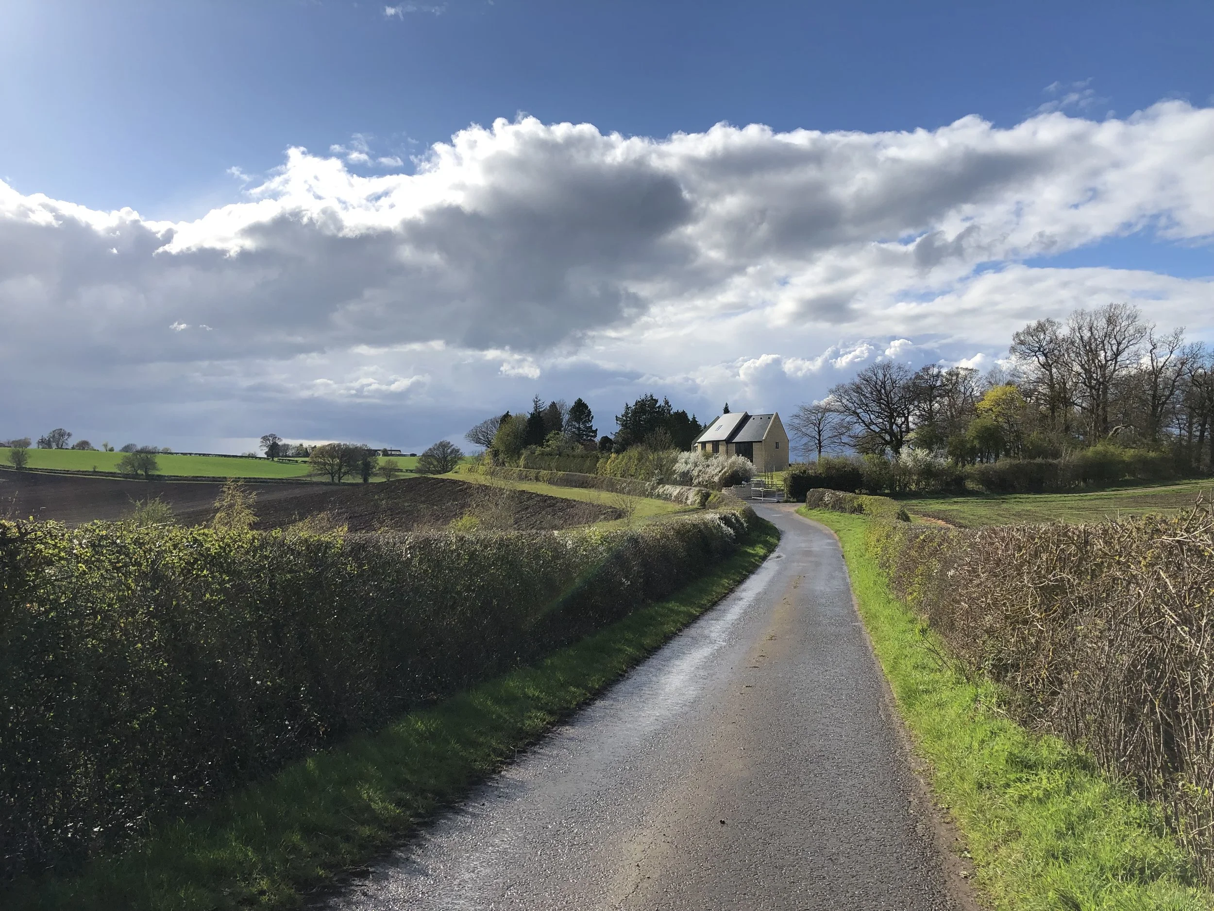 Thatched House 2.jpeg