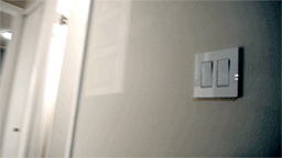 Untitled-9.gif