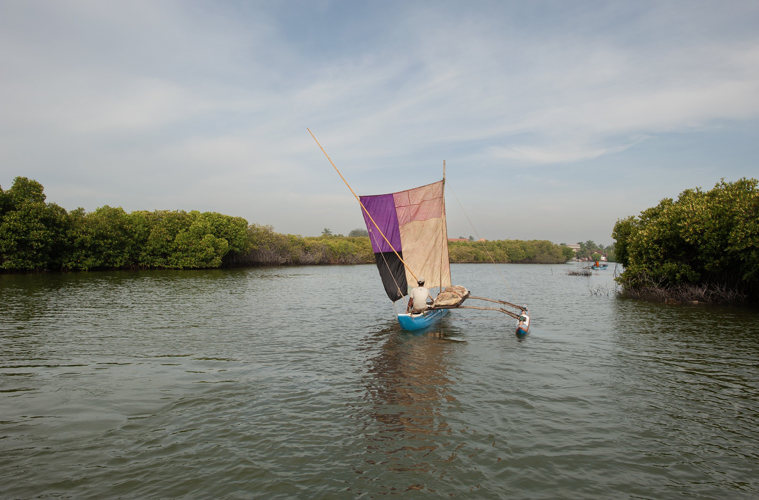 Traditional Sailing Boat on a Mangrove Waterway