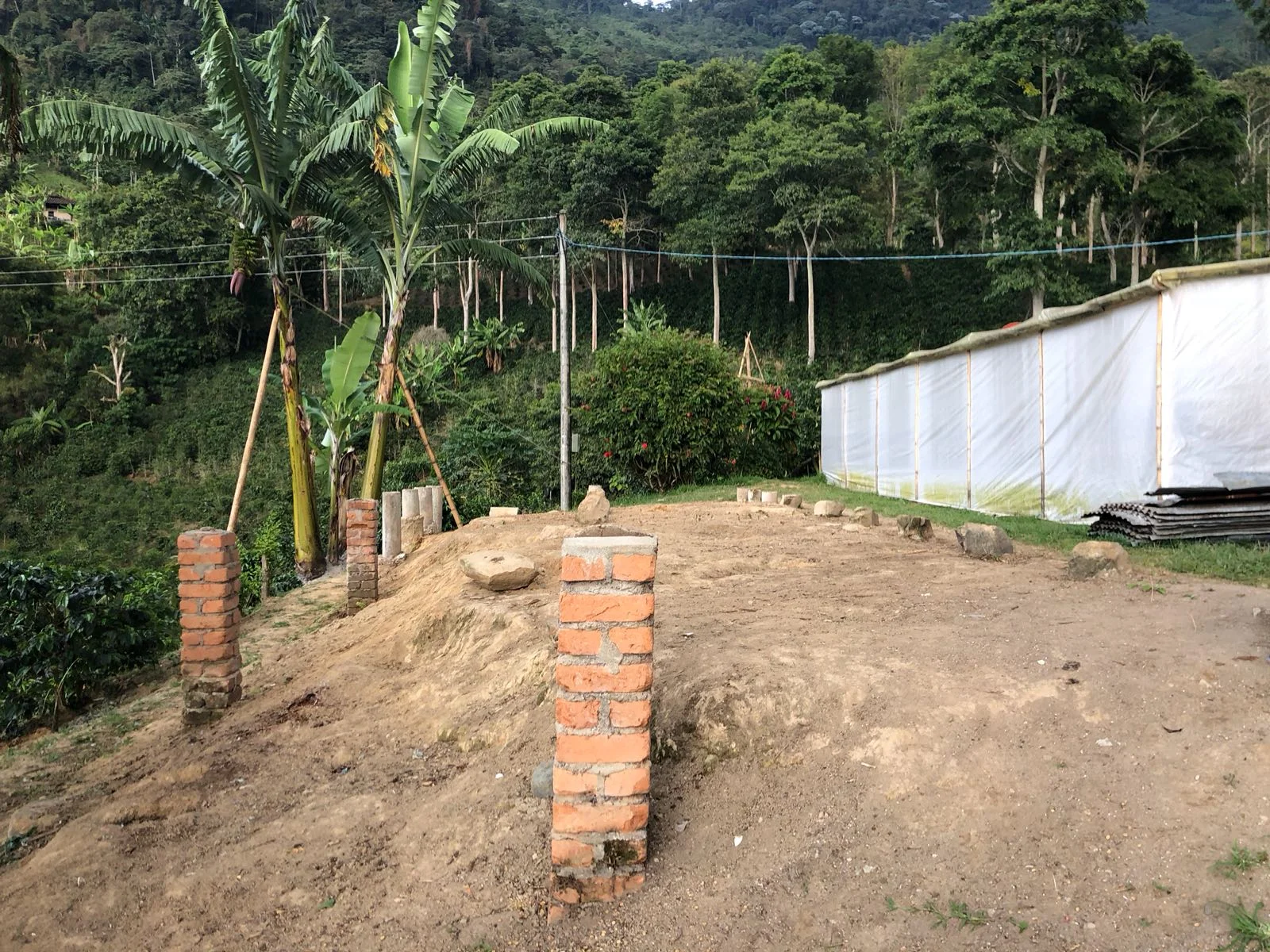 El Fenix Main Buildings Foundation 2.jpg