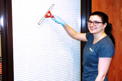 Window Cleaning.jpeg