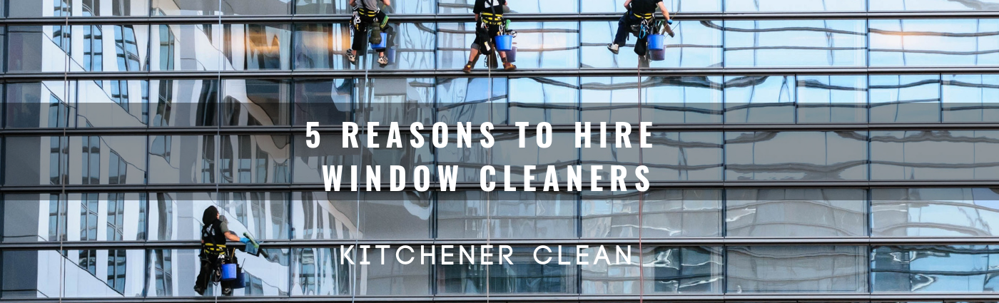 window cleaner.png