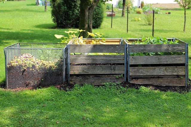 compost-419261_640.jpg