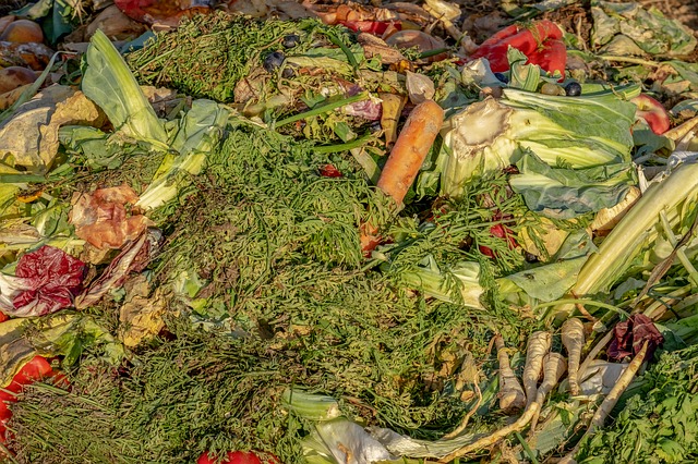 compost-3663514_640.jpg