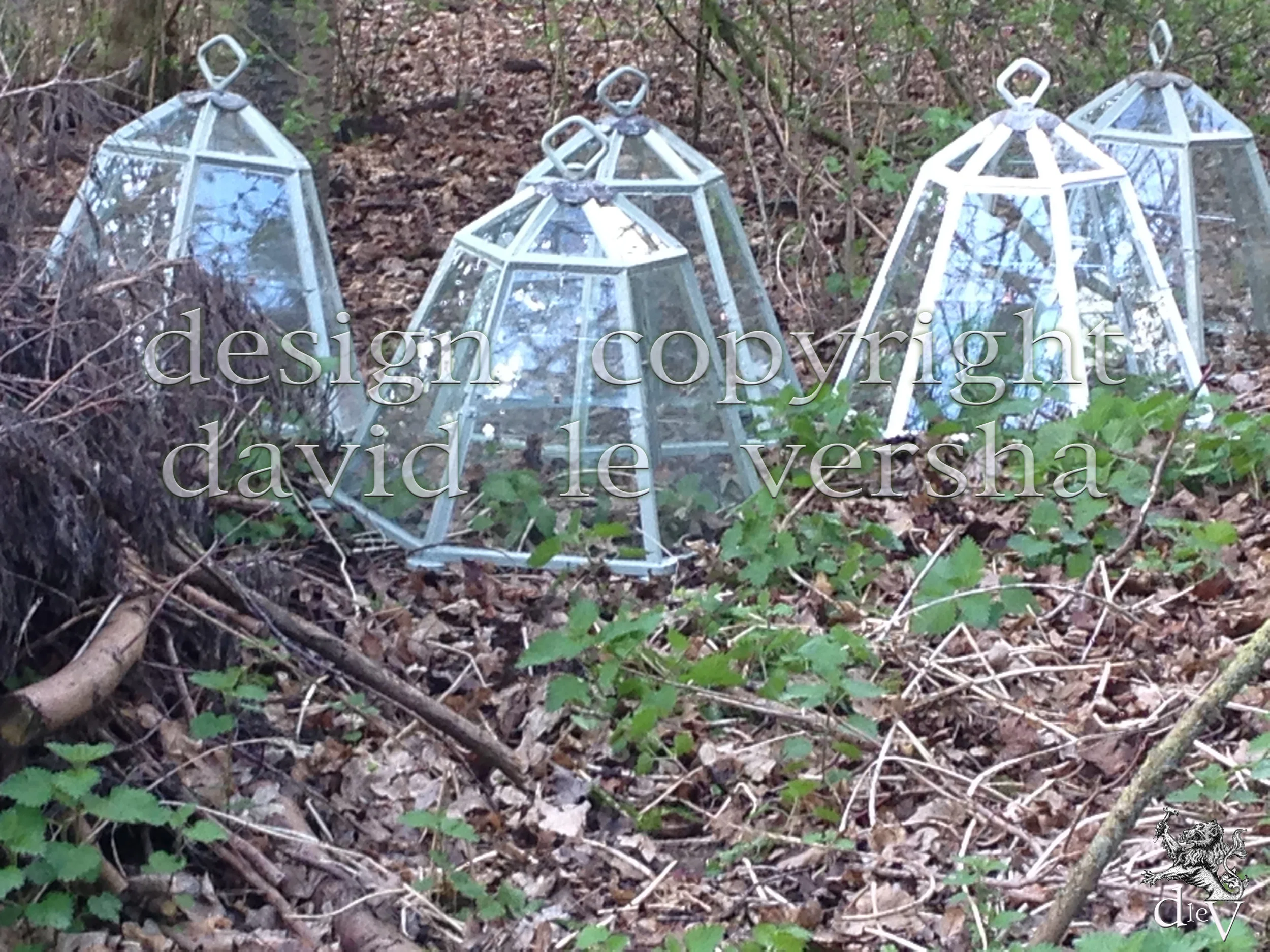Lantern Cloche 2WM.jpg