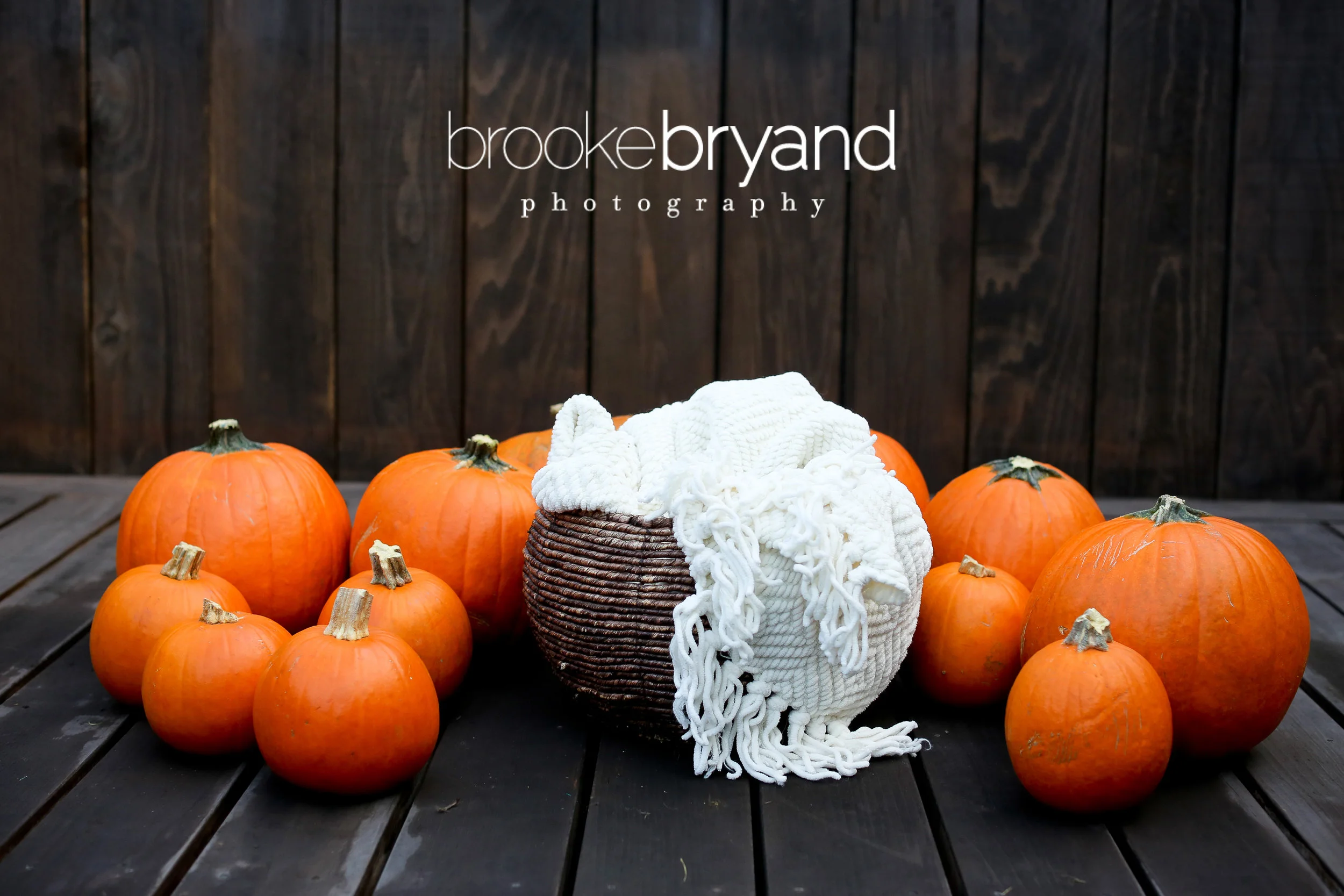 10.2013-BBP_2888-san-francisco-child-photographer-halloween-photo-shoot-set-up.jpg
