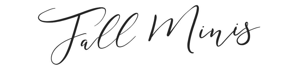 web-header-fall-mini-brooke-bryand-photography.png