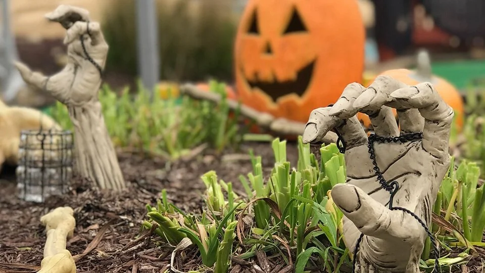 Trick+or+Treat+4.jpg