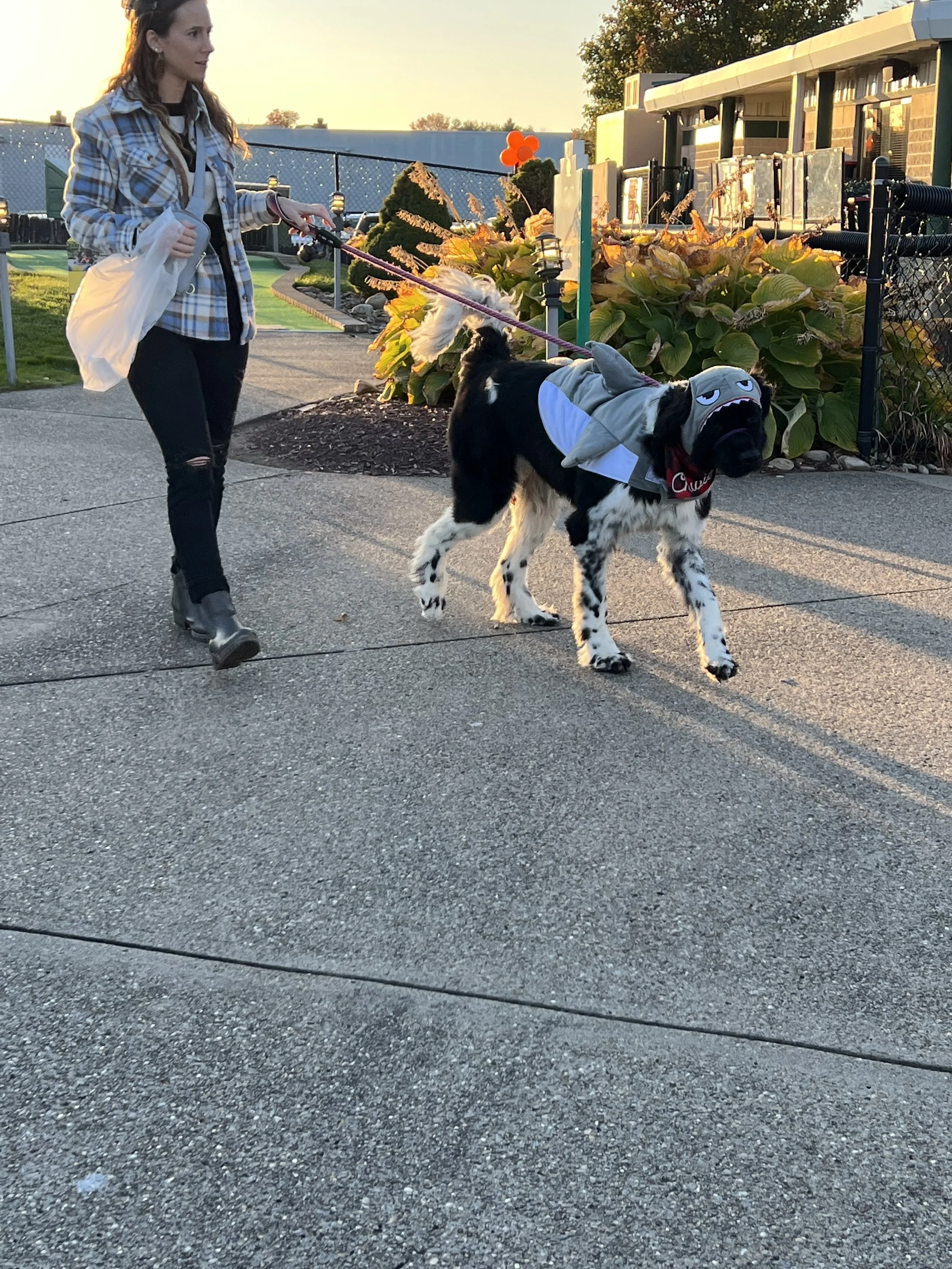 FFA TOT Pup Night 2022 27.JPEG