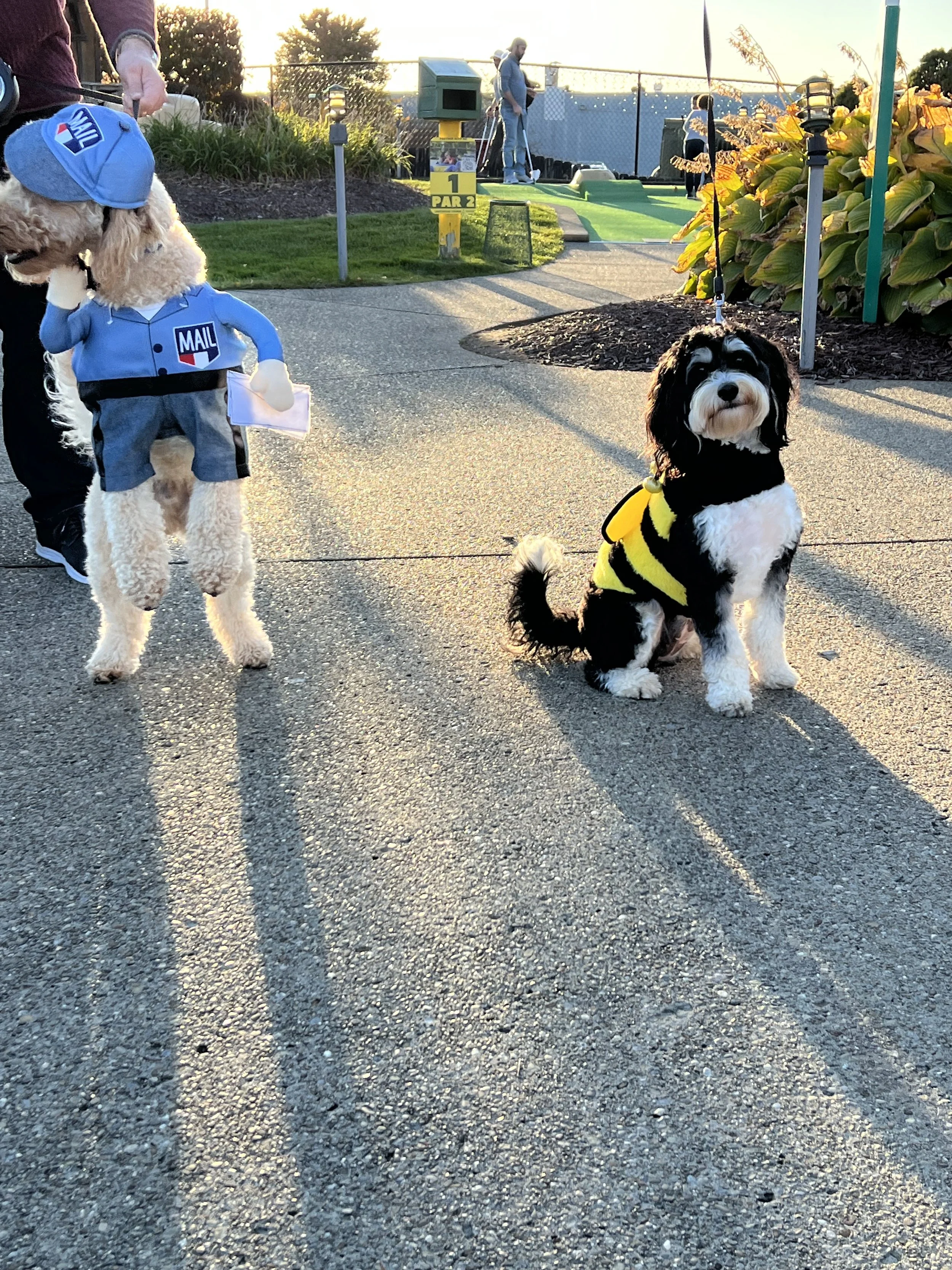 FFA TOT Pup Night 2022 8.JPEG