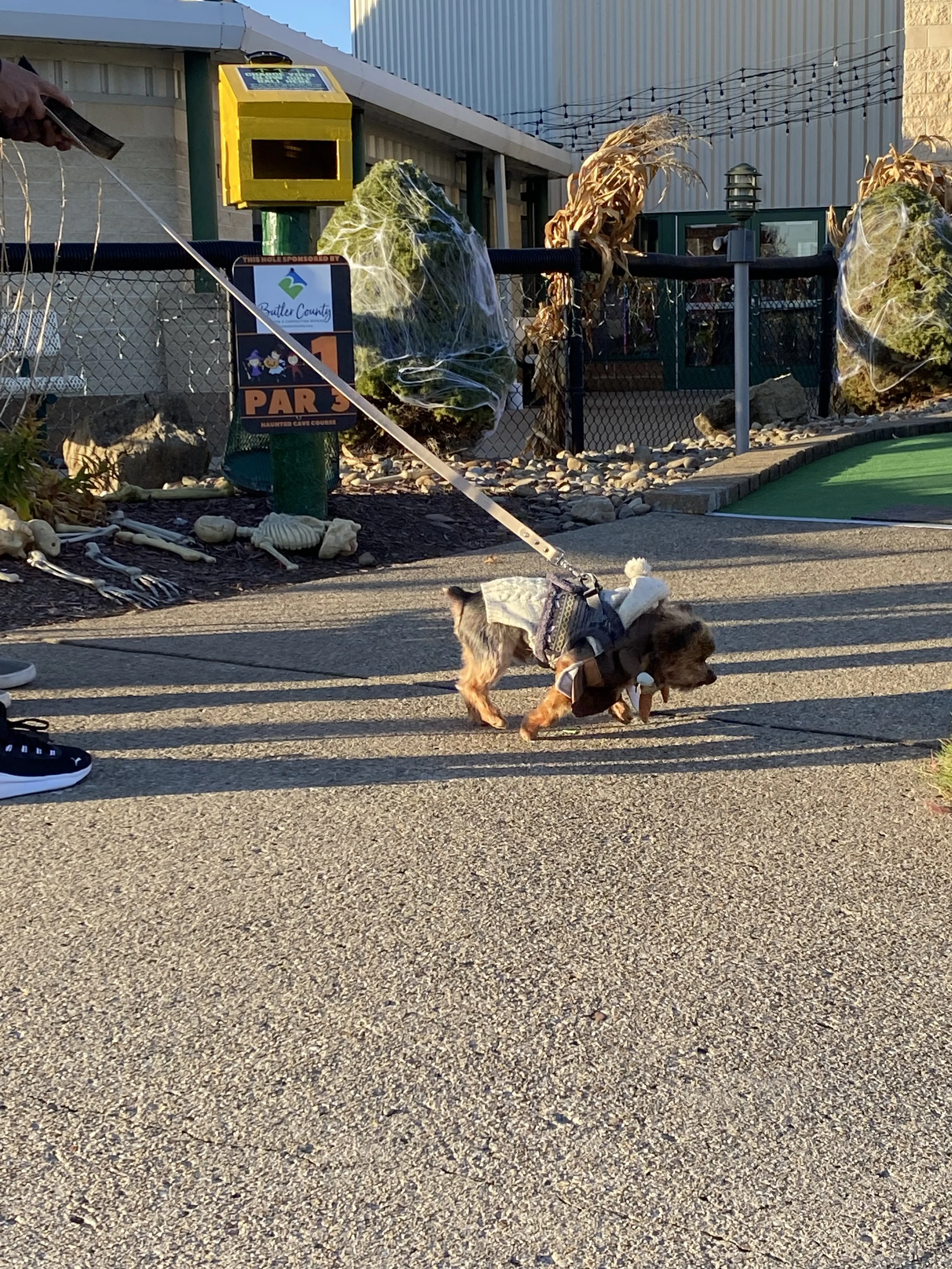 FFA TOT Pup Night 2022 7.jpg