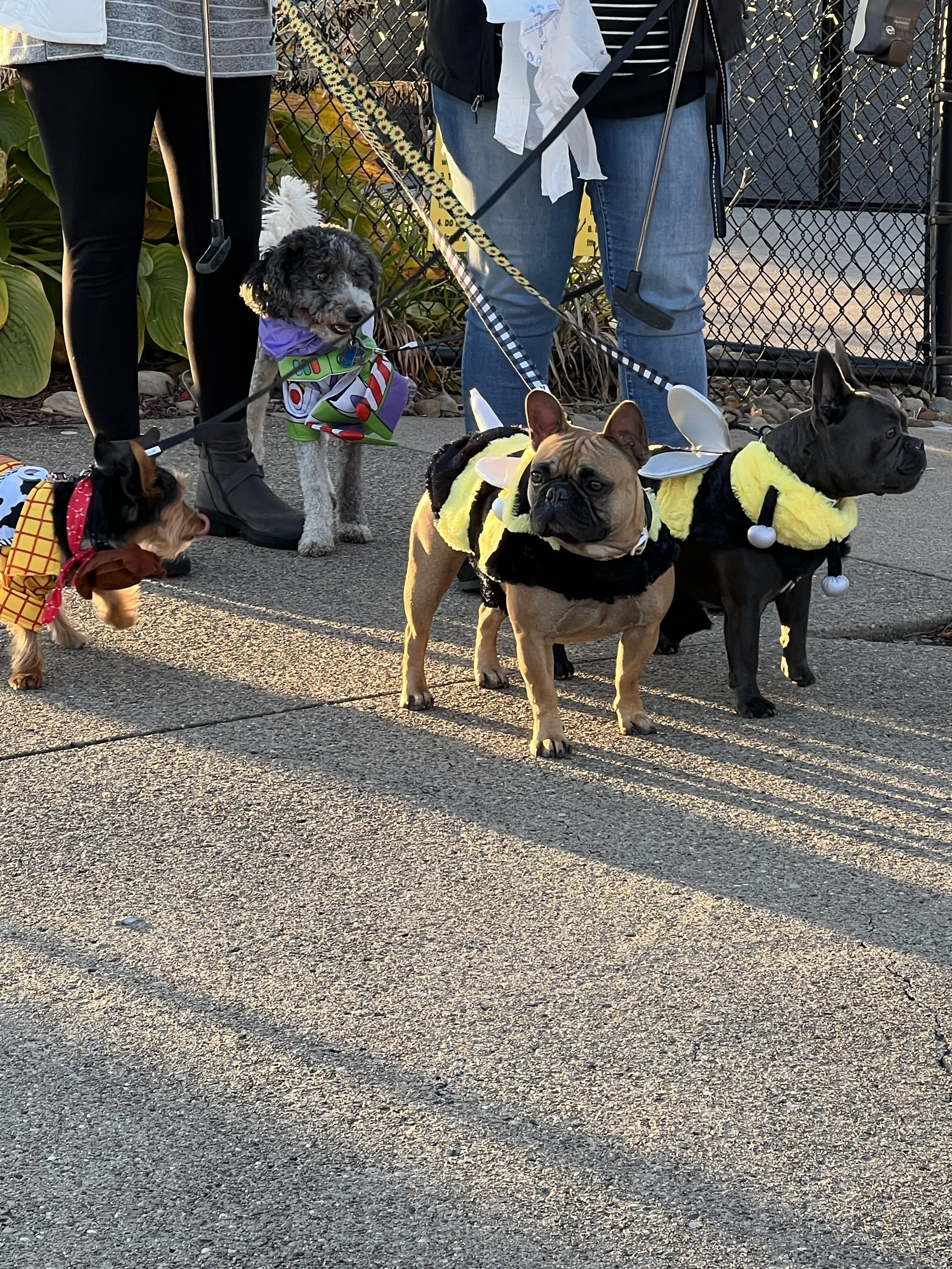 FFA TOT Pup Night 2022 13.JPEG