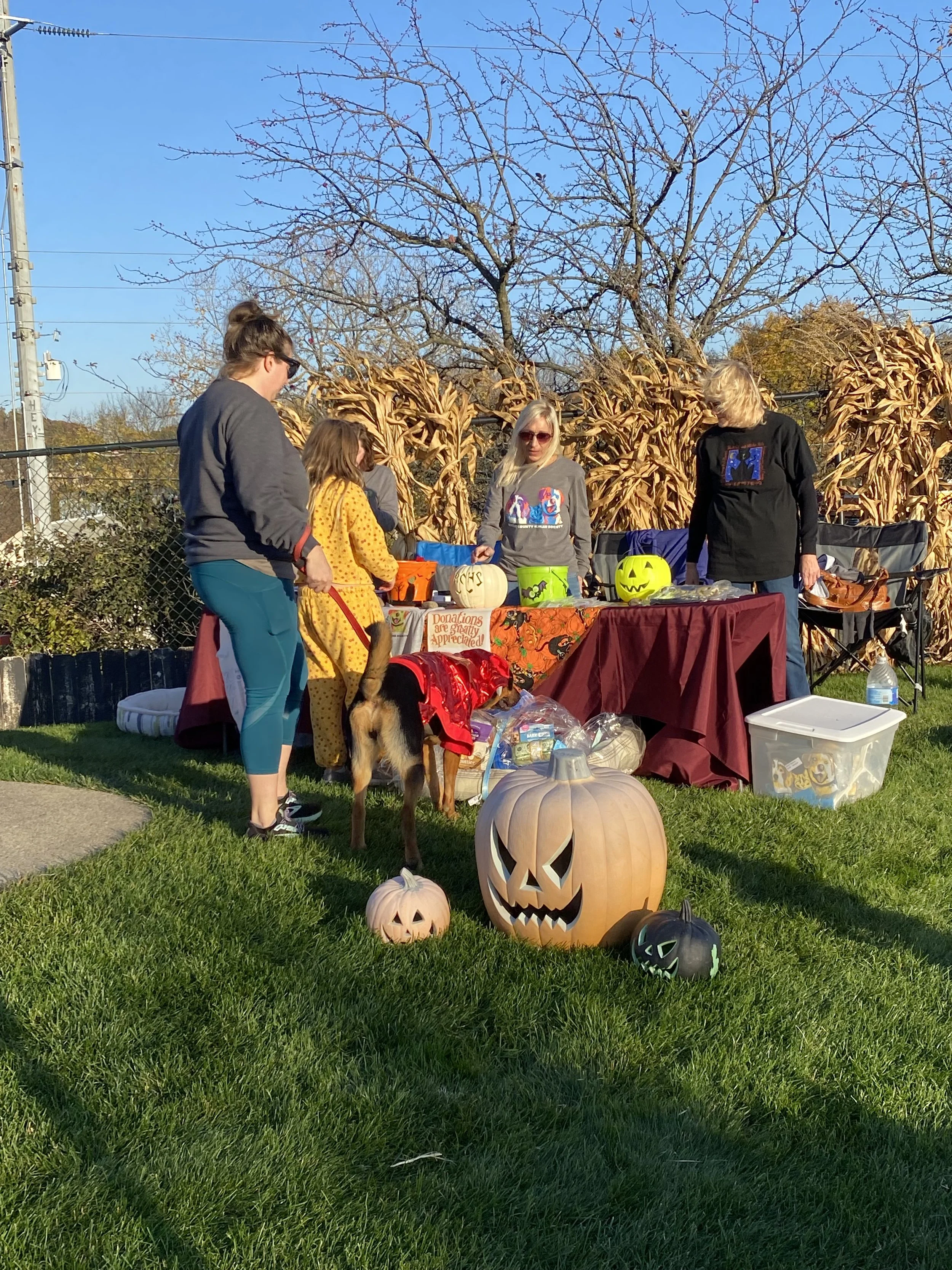 FFA TOT Pup Night 2022 6.jpg