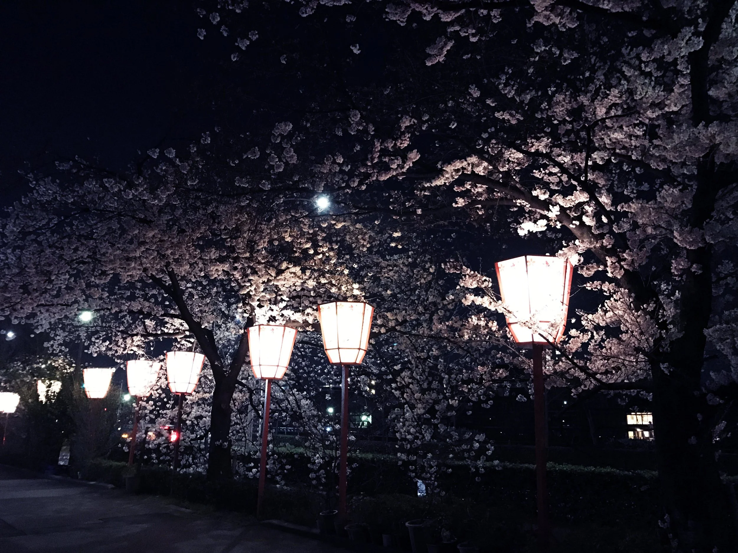 2017-04-06 02.08.06.jpg