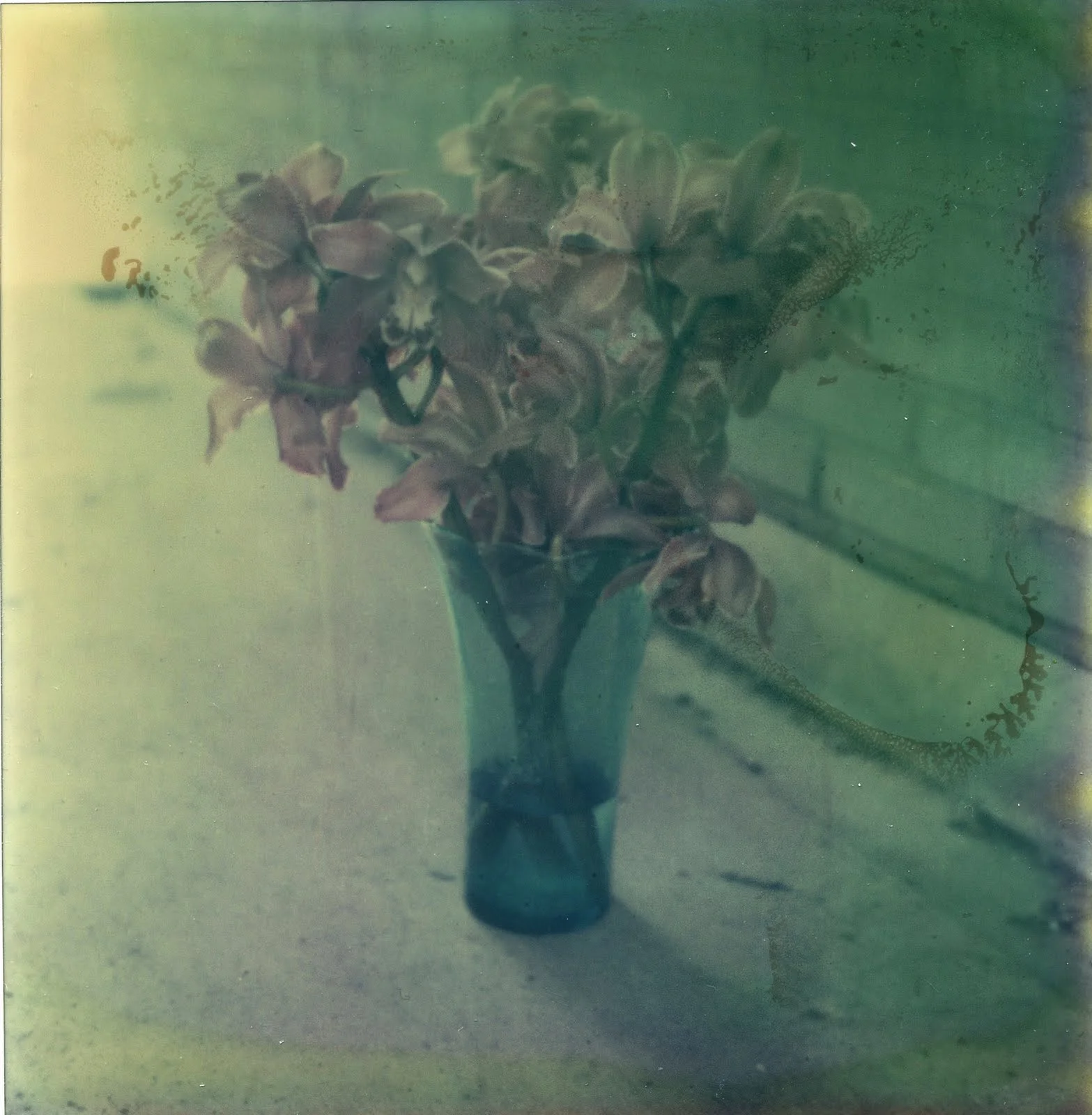 Amsterdam, XII, Still-Lives, Fine Art Inkjet Print, 20 x 20 cm & 40 x 40 cm, Edition 7, 2009