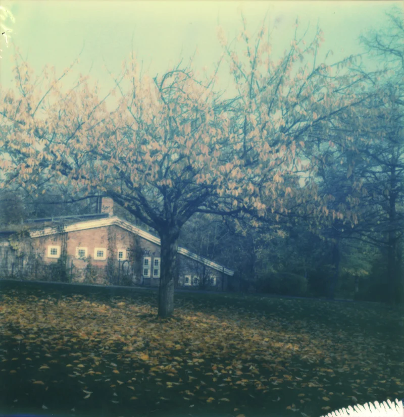 Dahlem I, Still-Lives, Fine Art Inkjet Print, 20 x 20 cm & 40 x 40 cm, Edition 7, 2015