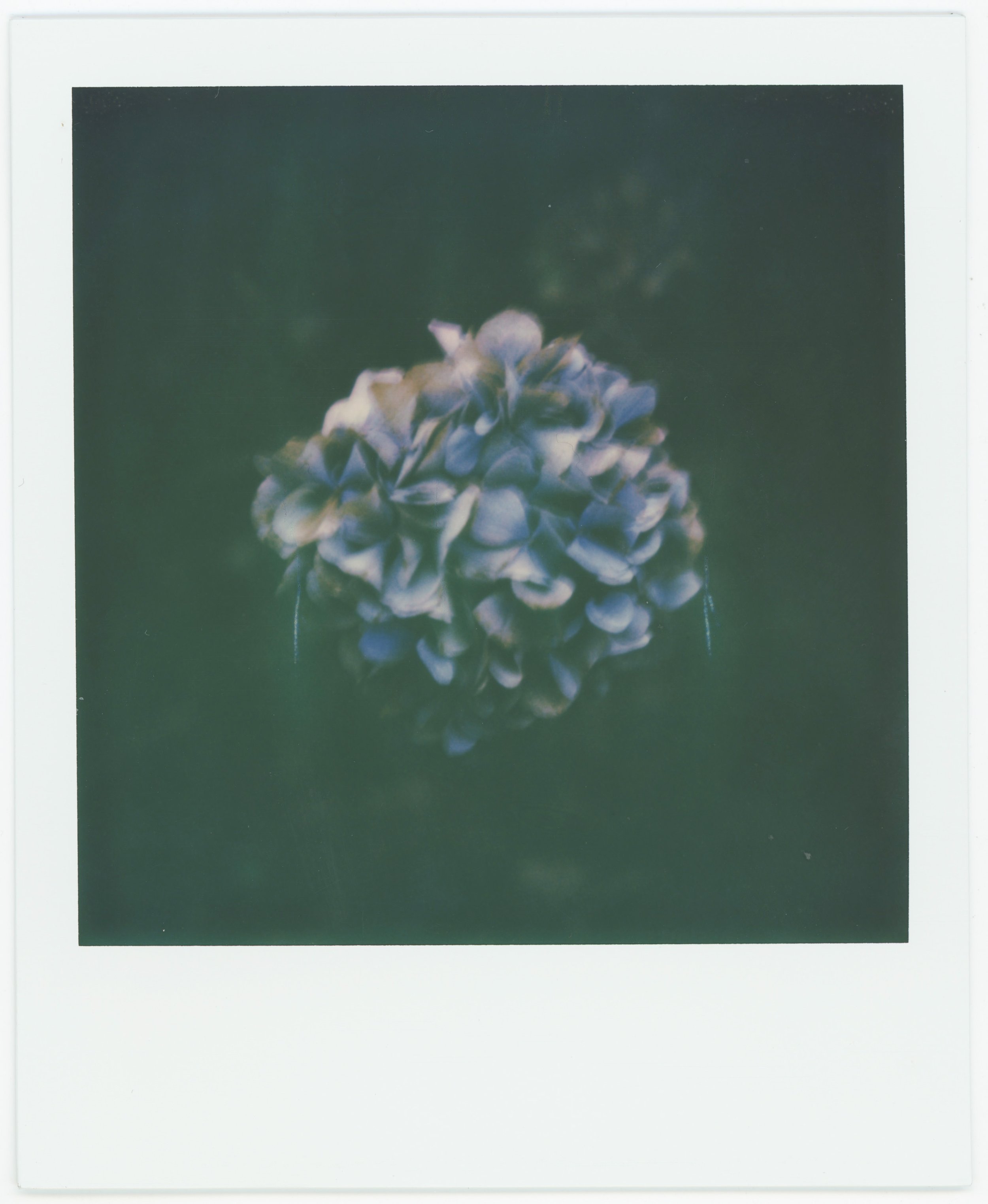 Untitled, photoinkjet print, edition 5, 24 x 30 cm, 2019