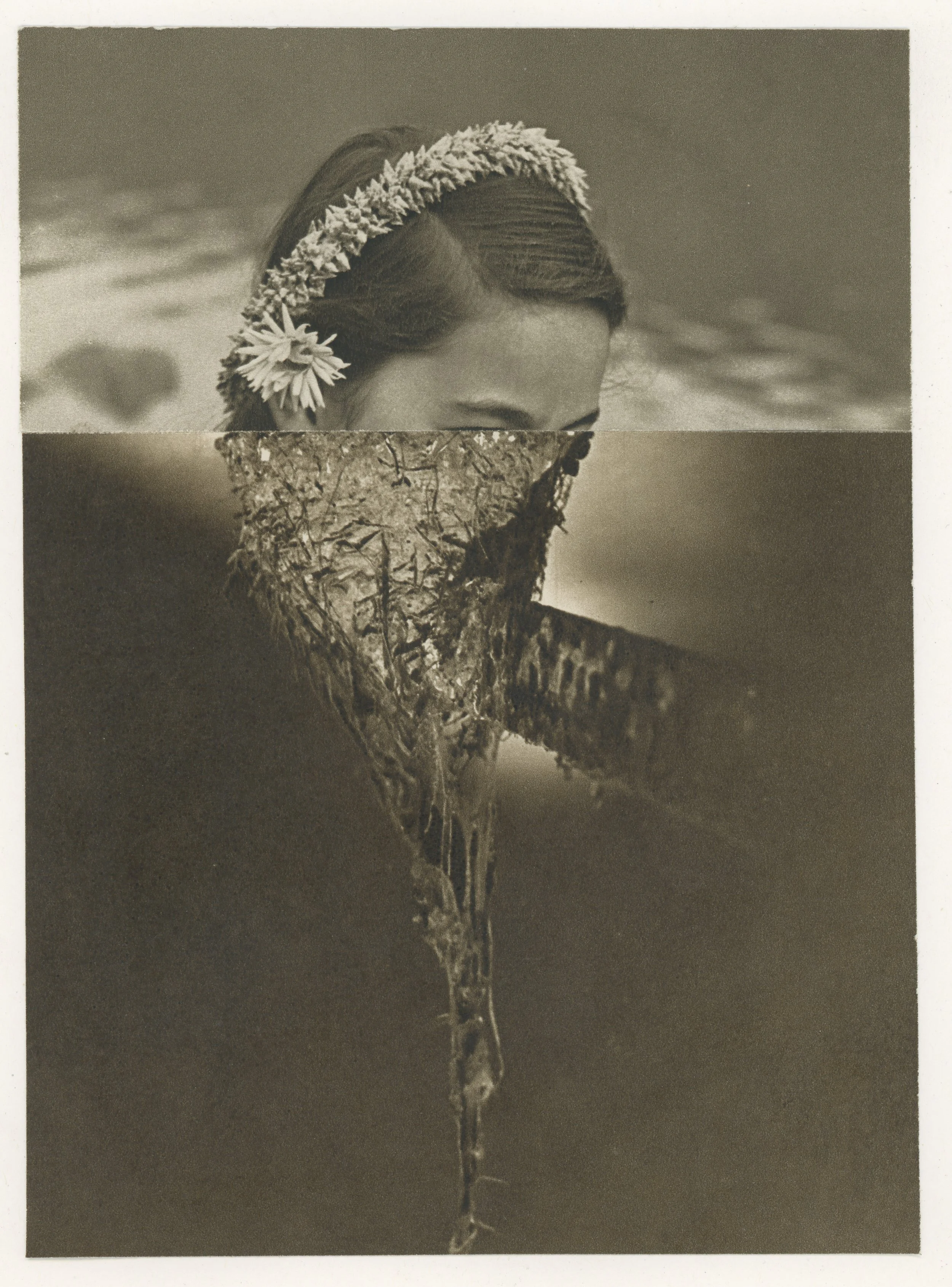 The Hunting Game 2025.jpeg