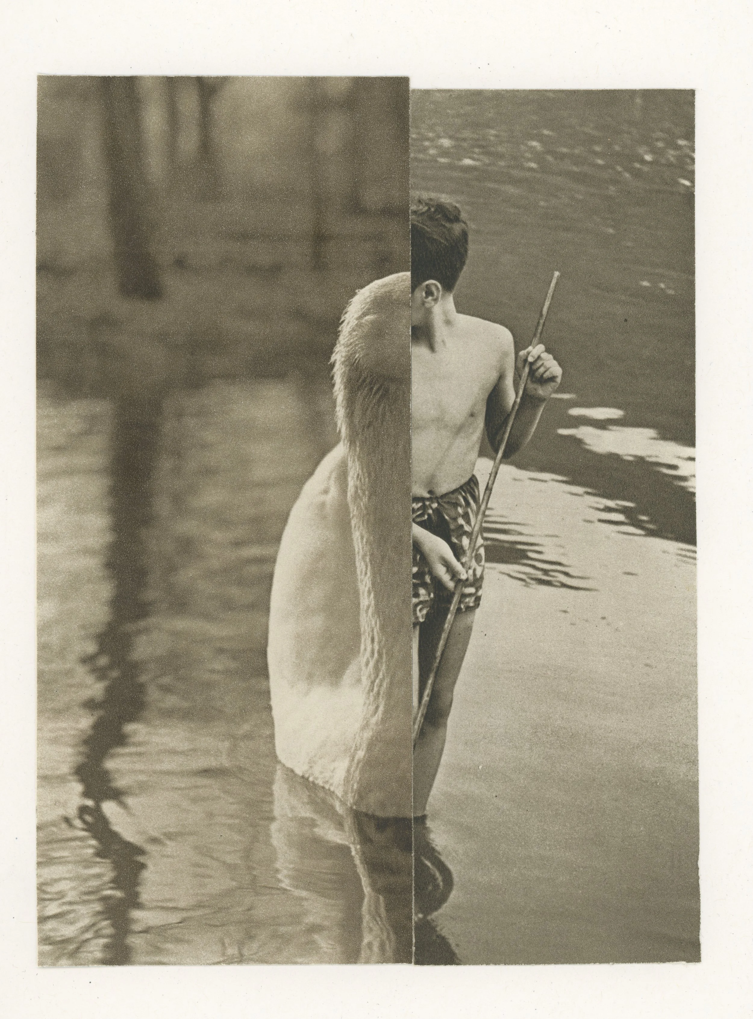 The Hunting Game 2025 2.jpeg