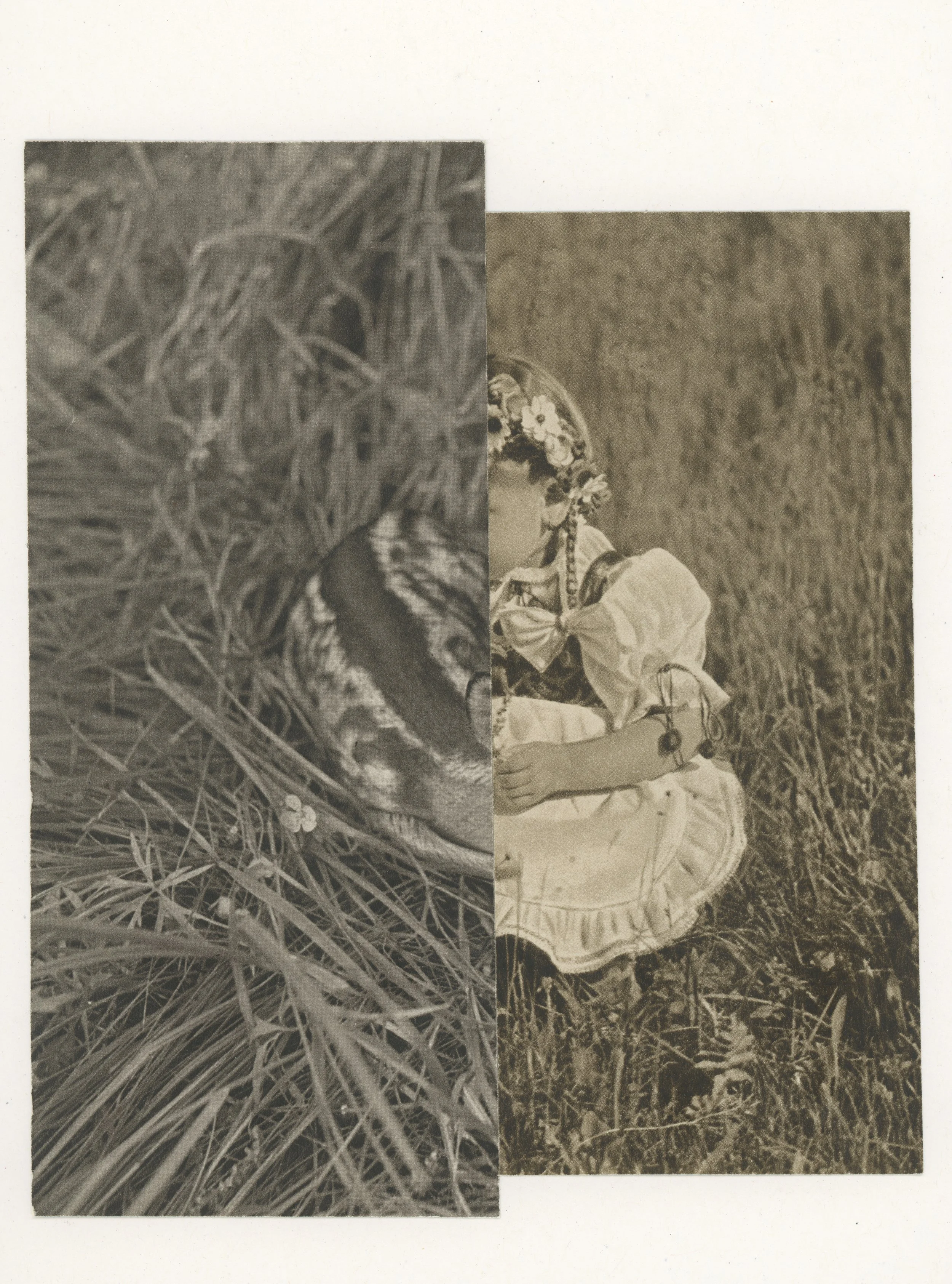 The Hunting Game 2025 3.jpeg