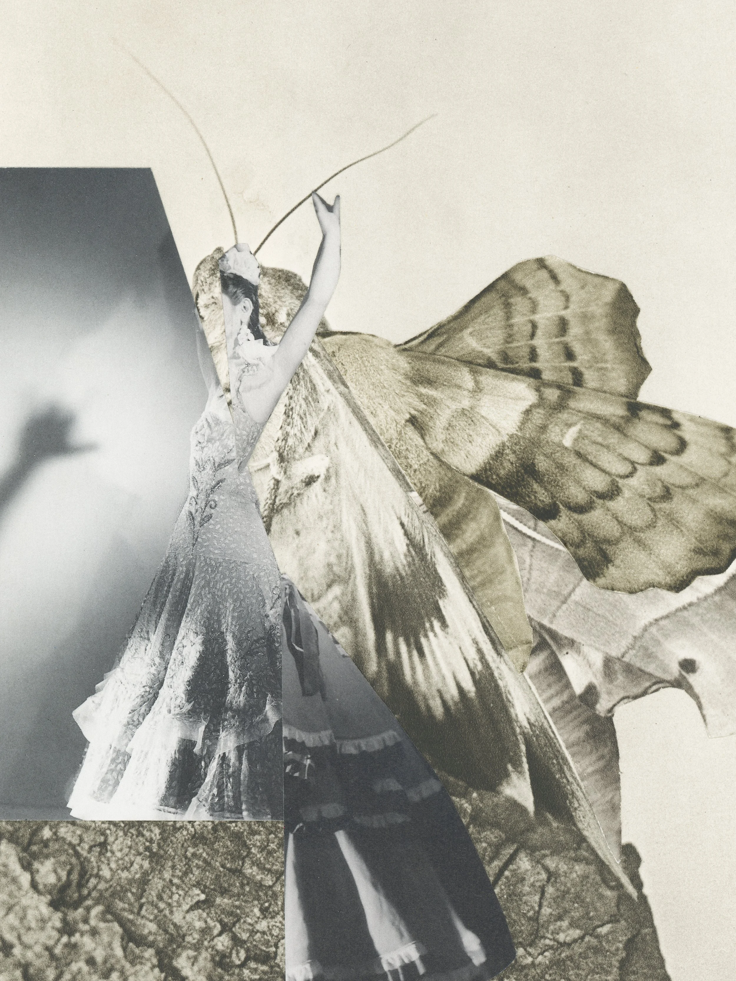 Metamorphosis 15 Mai 2026-7-30 x 40 cm.jpg