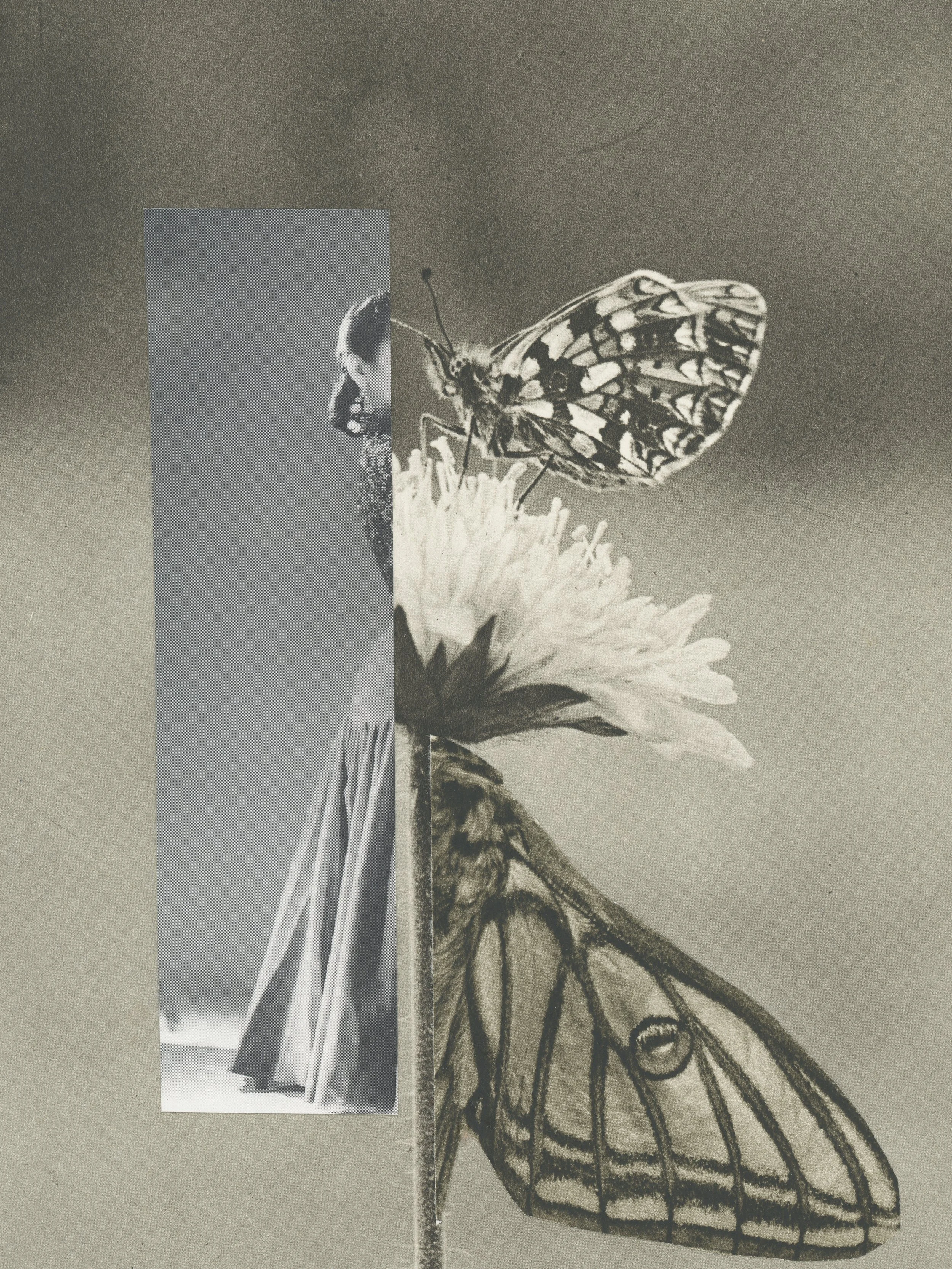 Metamorphosis 15 Mai 2026-2-30x 40 cm.jpg