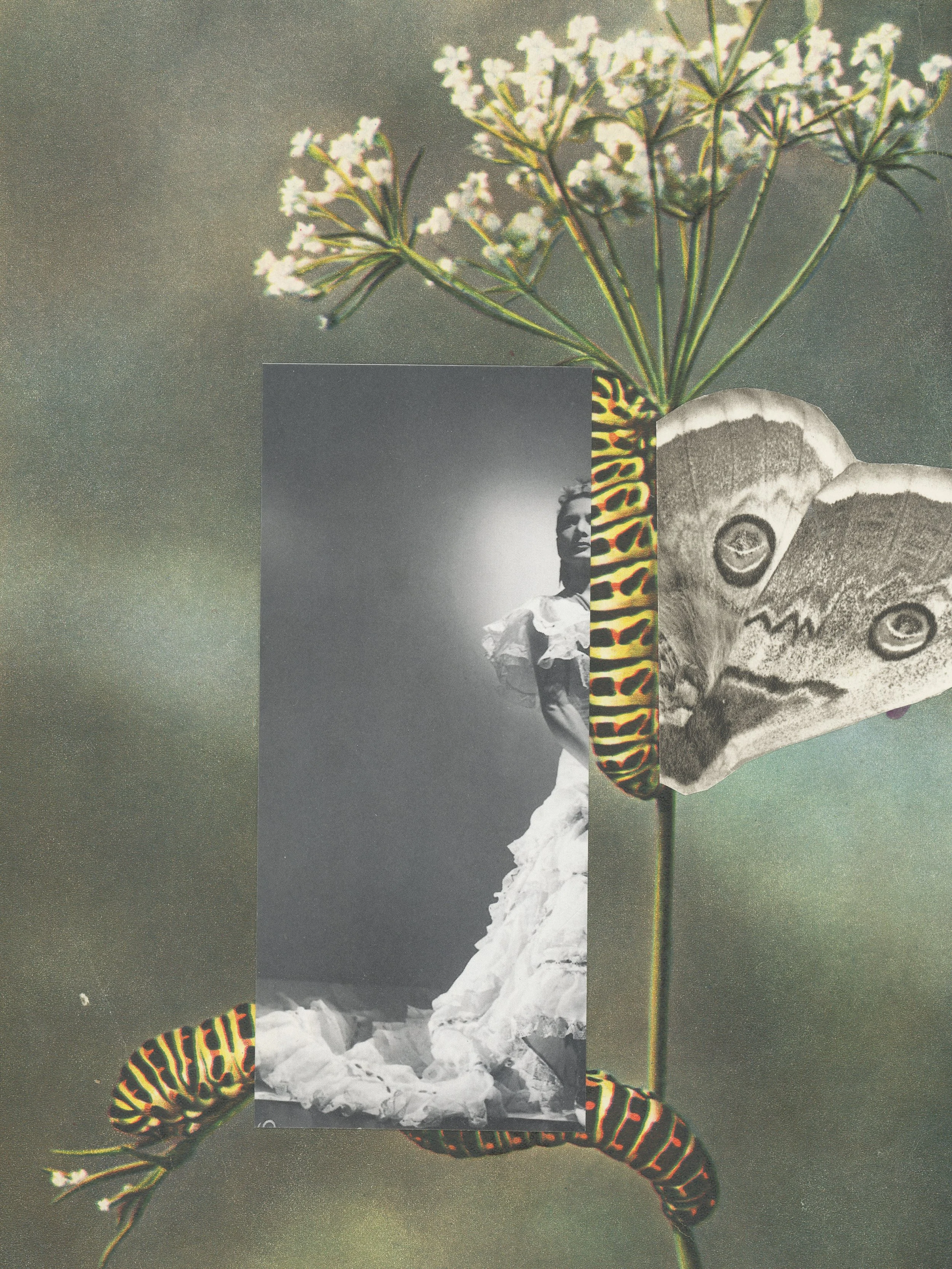 Metamorphosis 15 Mai 2026-1-30x40.jpg