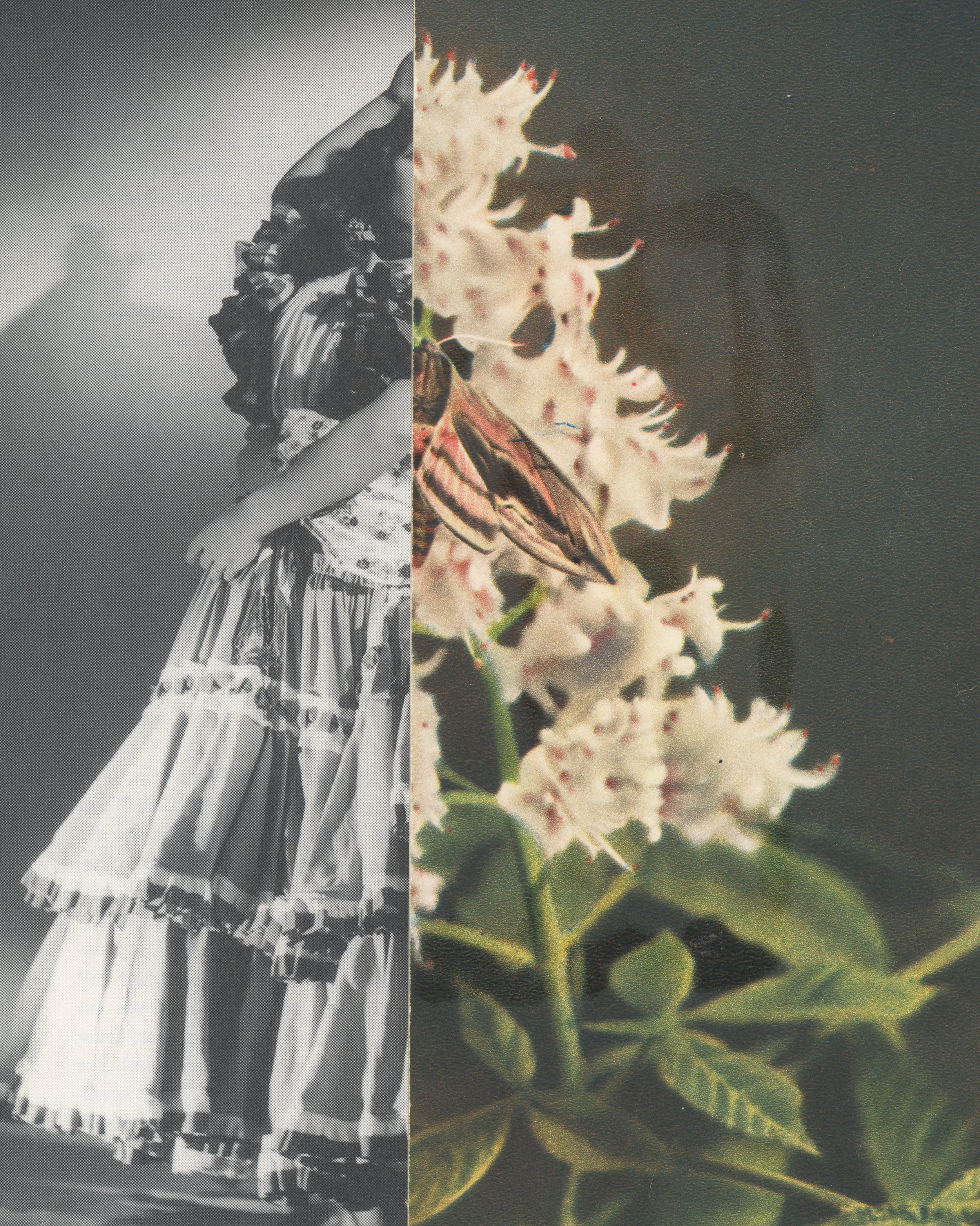 Metamorphosis 3 mei -2026.jpg
