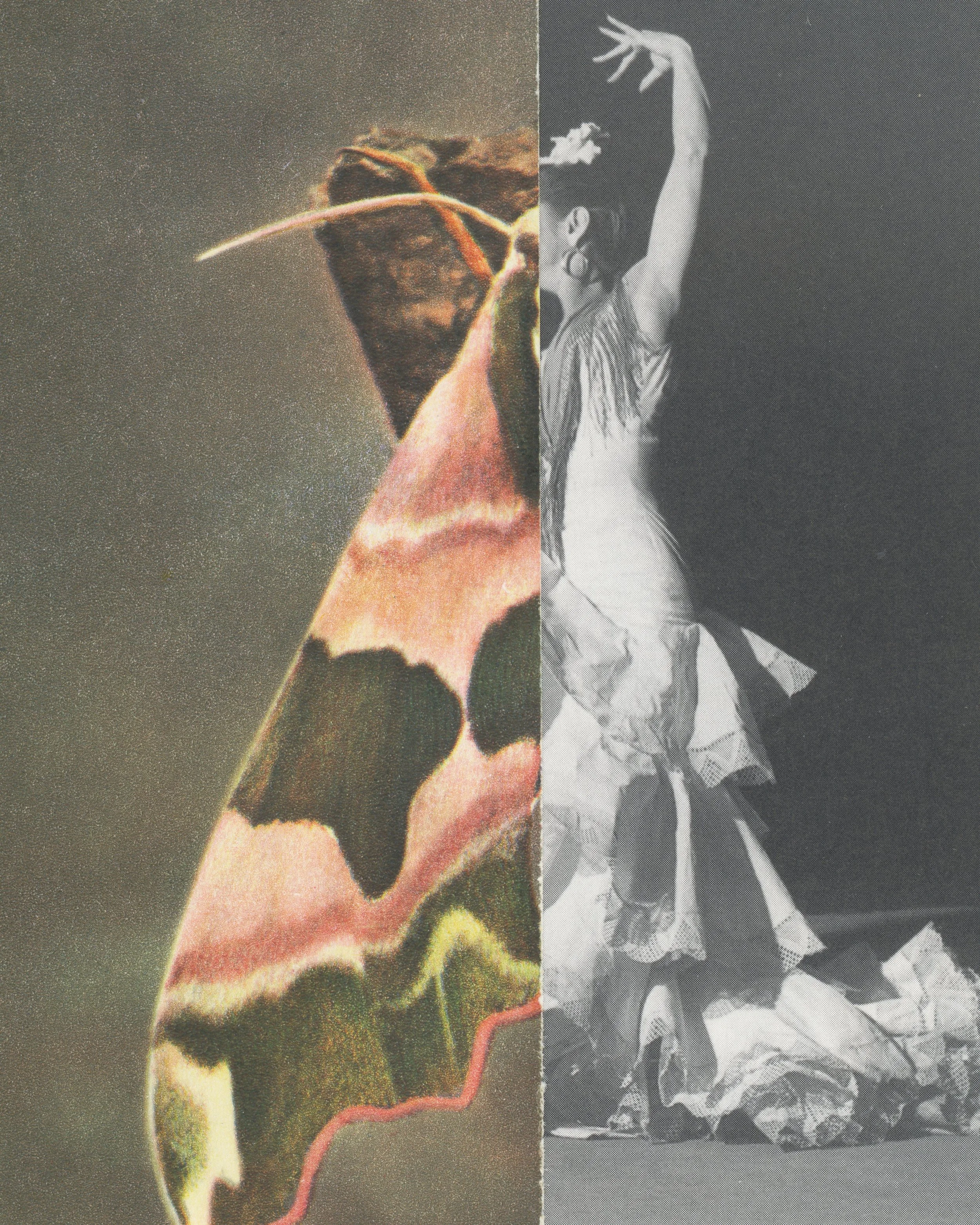 Metamorphosis 4 Mai -2026.jpg