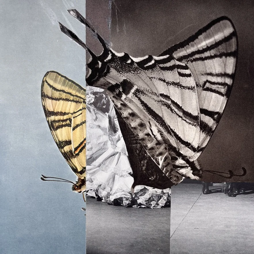 MetamorphosisIphone1.jpg