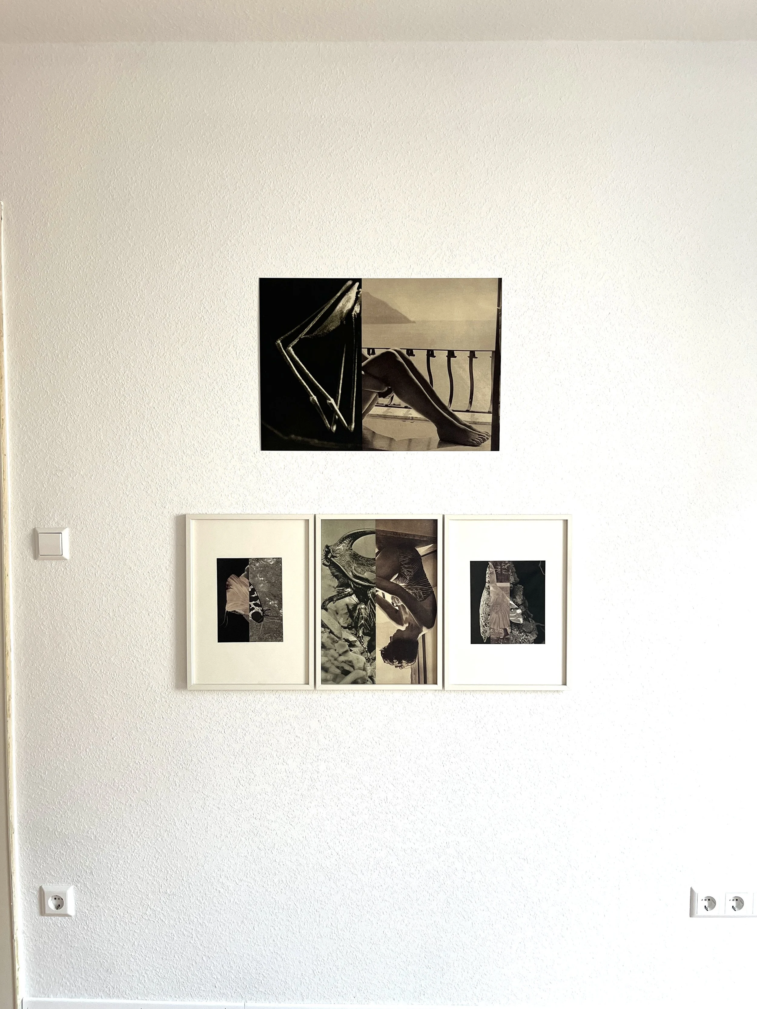   some images from the series ‘Metamorphosis’ at the group show ‘Disorder’ BB Stiftung, during Photosommer Stuttgart, 16.7 - 25.7 2026 