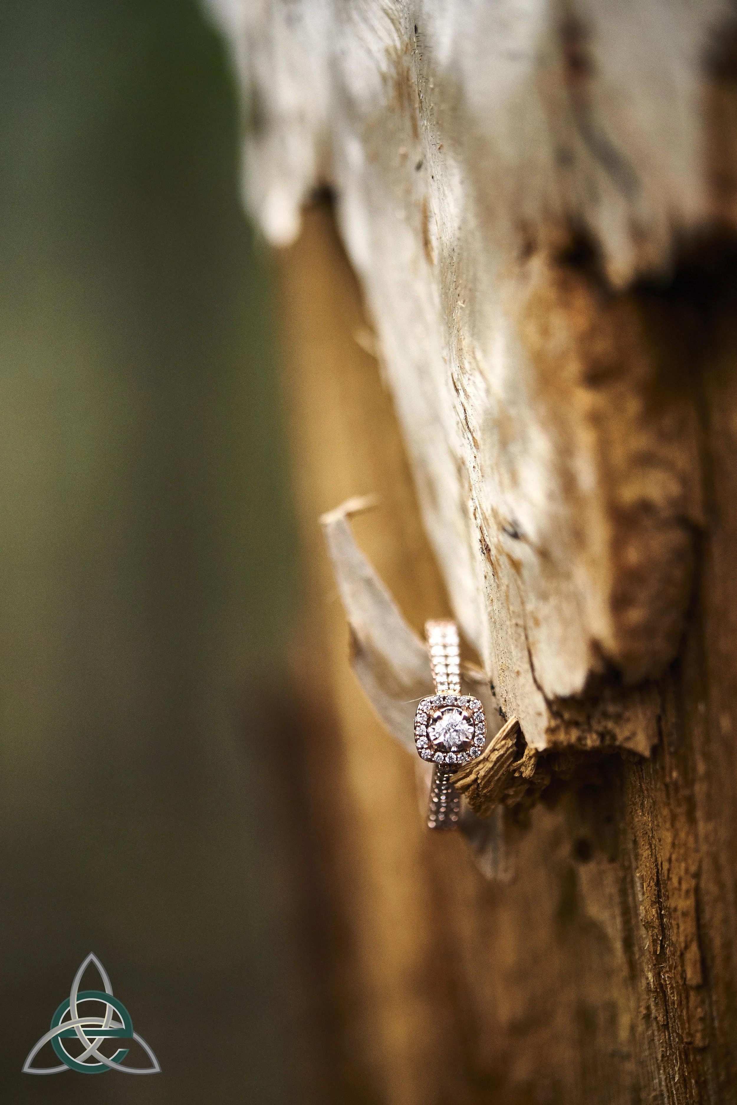 Amy &amp; Jordon | Engaged | Ricketts Glen State Park | Eberle Images LLC